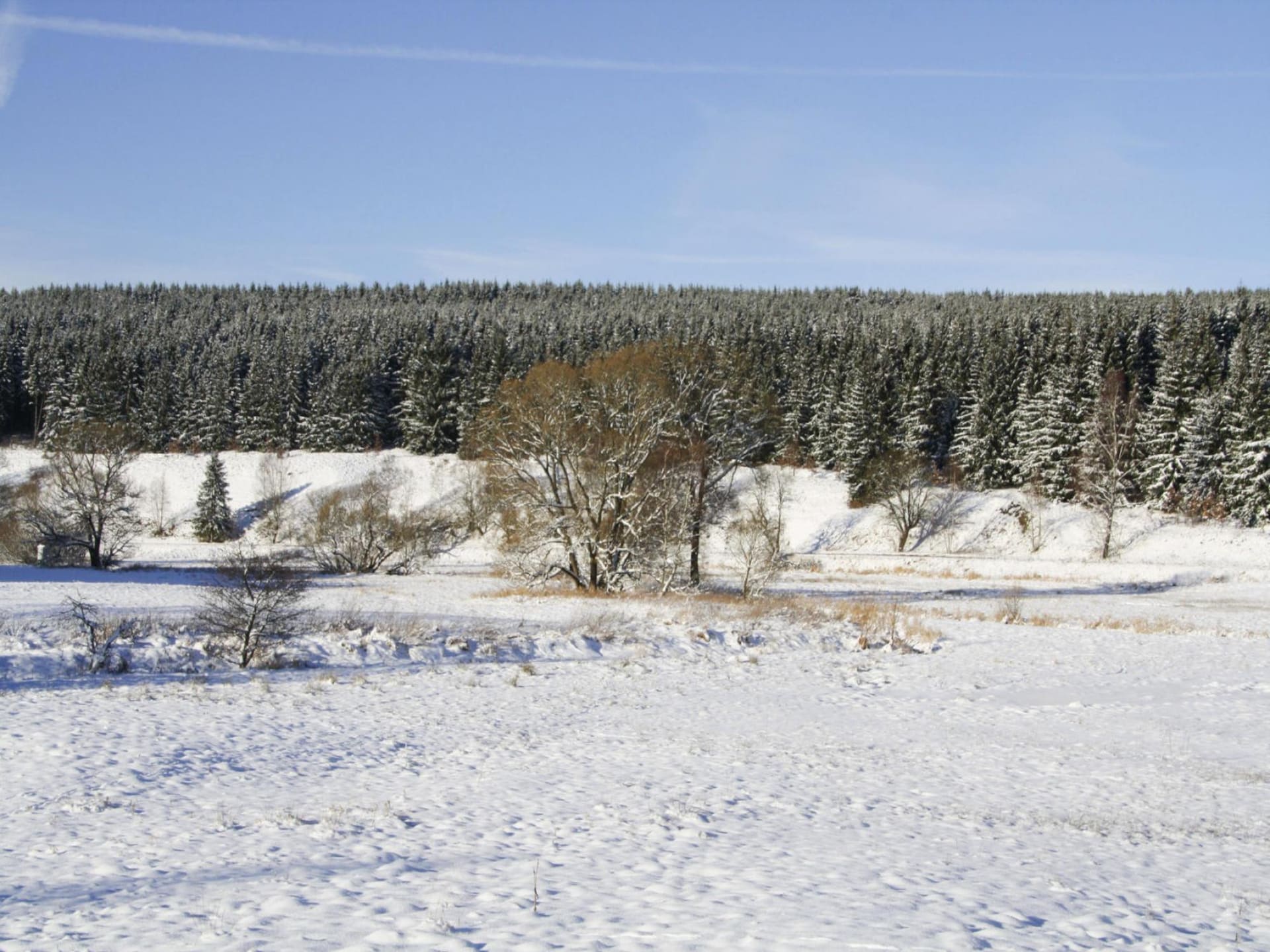 4-persoons modern appartement in Braunlage nabij de piste - foto 44