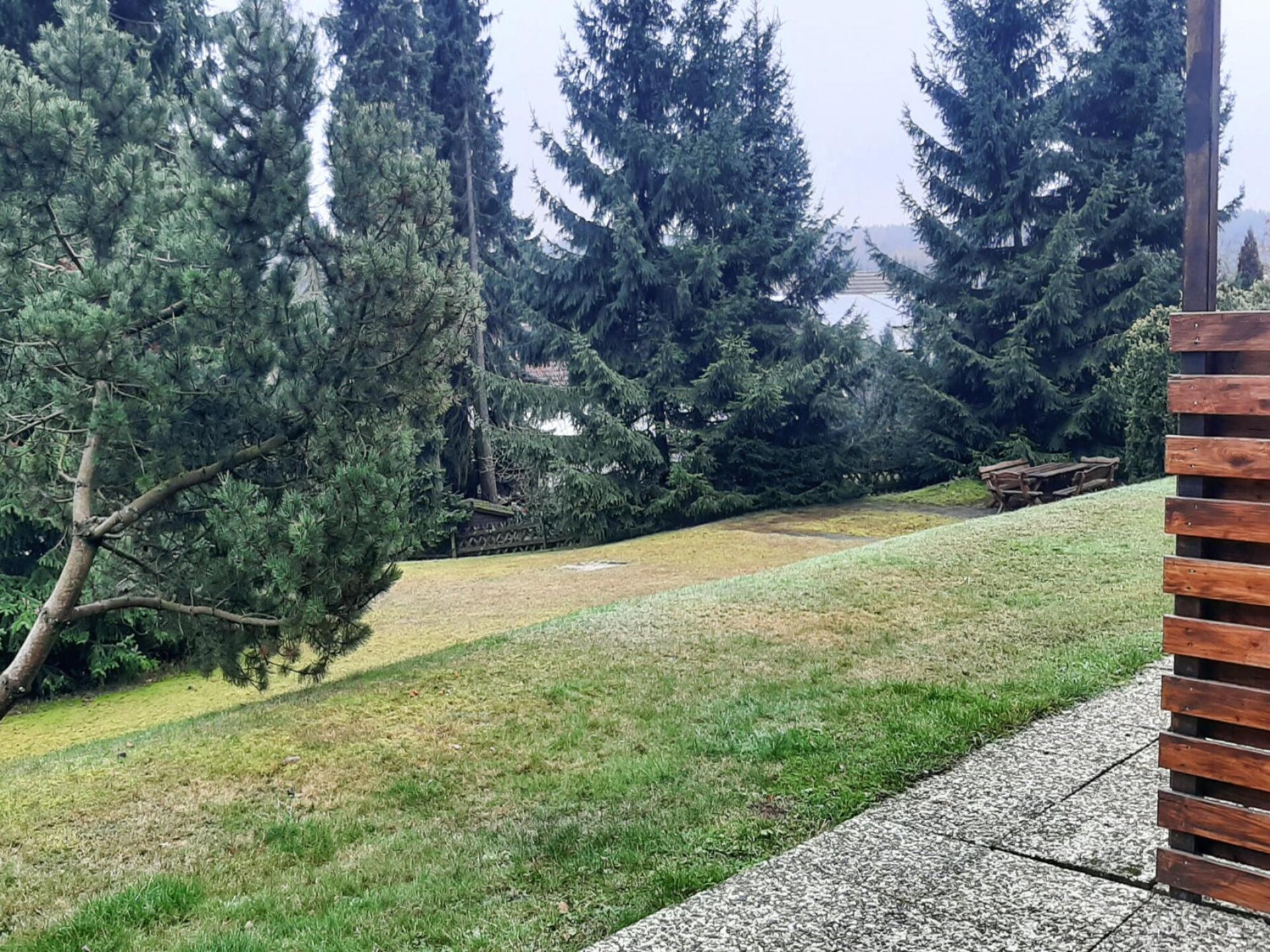 4-persoons modern appartement in Braunlage nabij de piste - foto 48