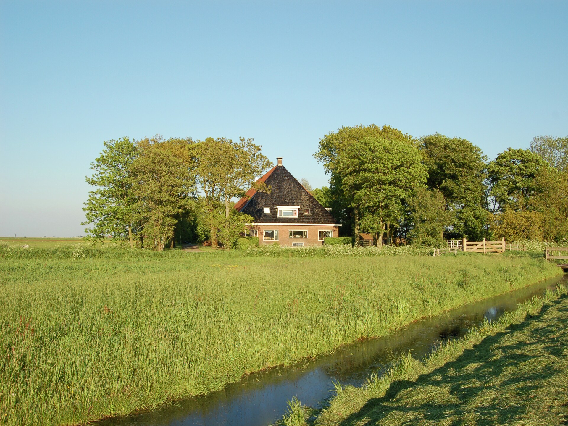 Berkenhof: Ruim vrijstaand vakantiehuis in het Friese bos bij Workum - foto 10