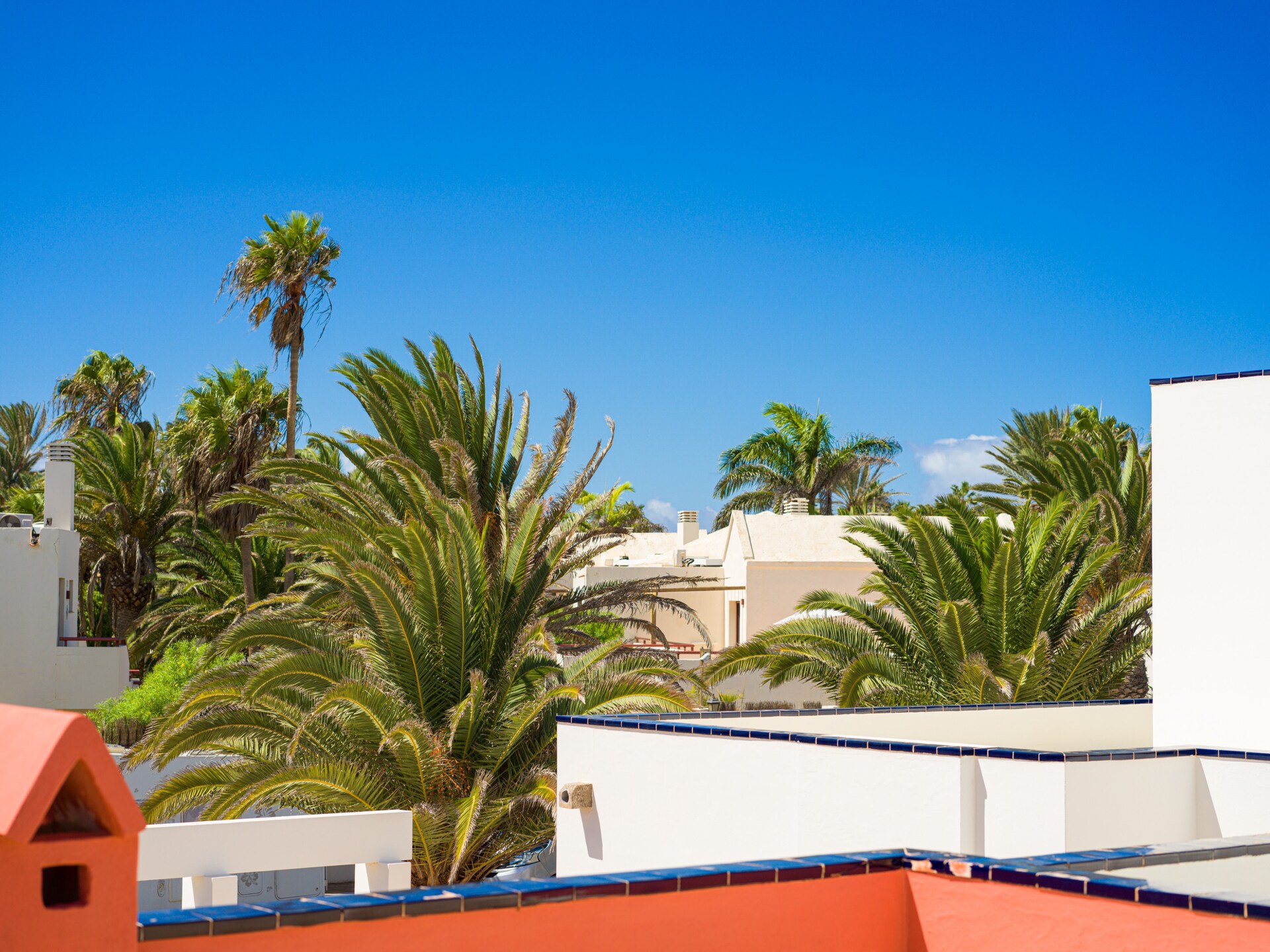 Long Beach with pool By CanariasGetaway - foto 46