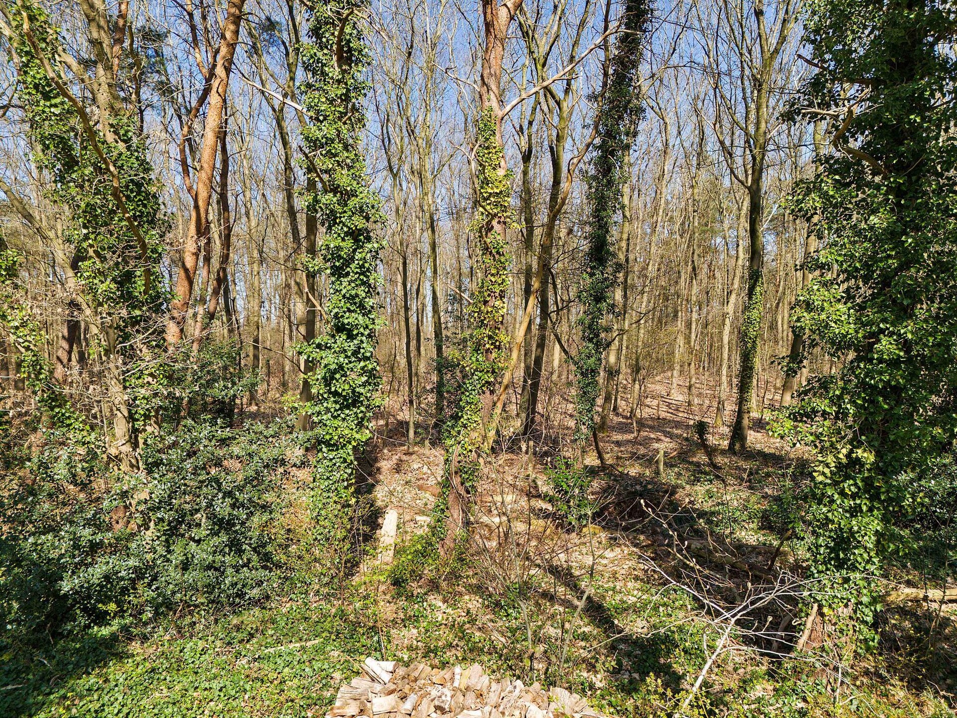 Ermerzand Retreat: Duurzame luxe aan het bos in hartje Drenthe - foto 30