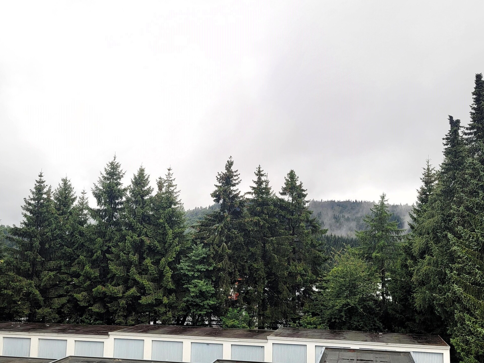 Appartement direct aan de piste in Winterberg met balkon op het zuidwesten - foto 6