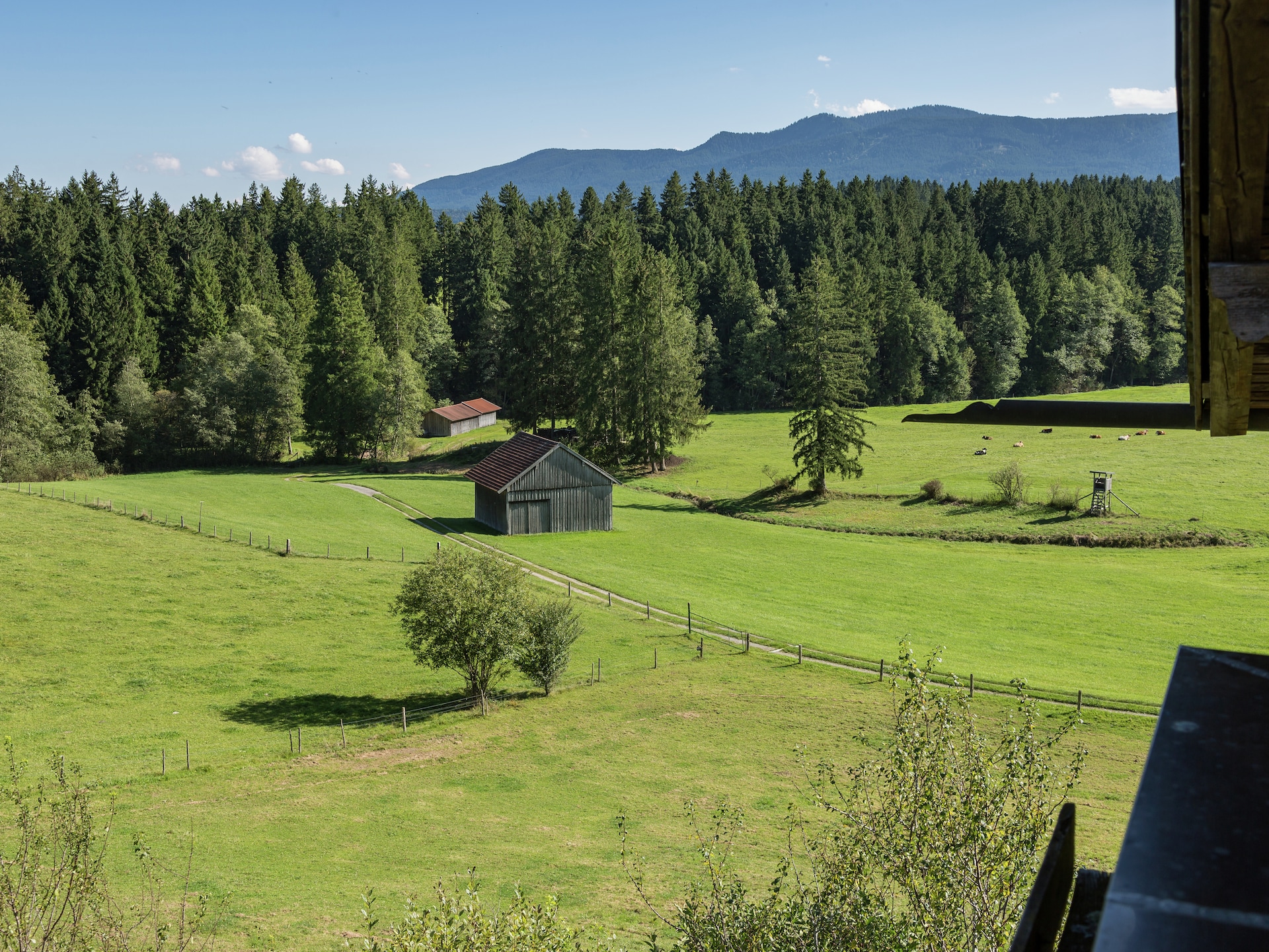 Knusse boerderijwoning bij Steingaden, vlakbij meer en bos in de Beierse Alpen - foto 17