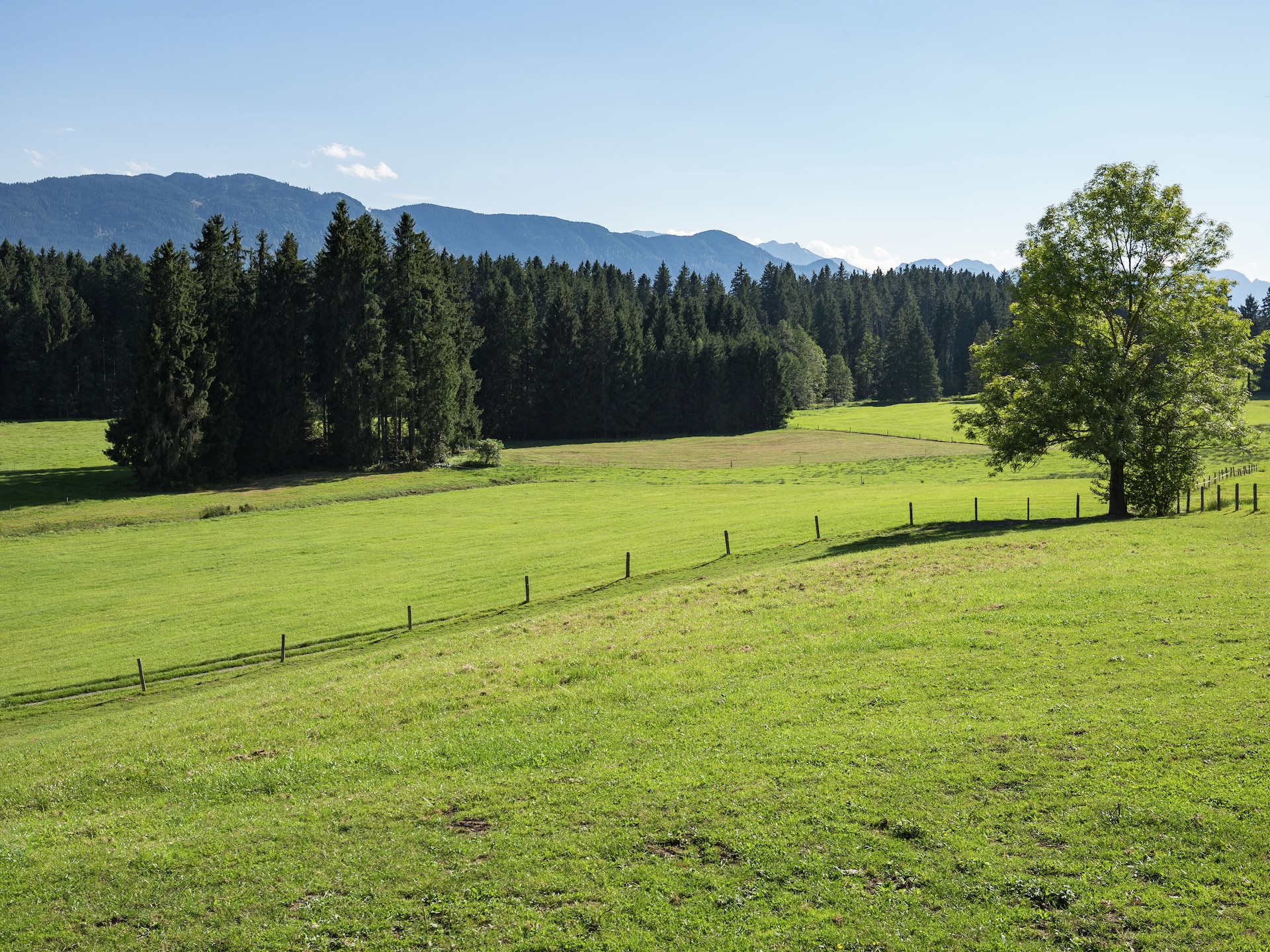 Knusse boerderijwoning bij Steingaden, vlakbij meer en bos in de Beierse Alpen - foto 24
