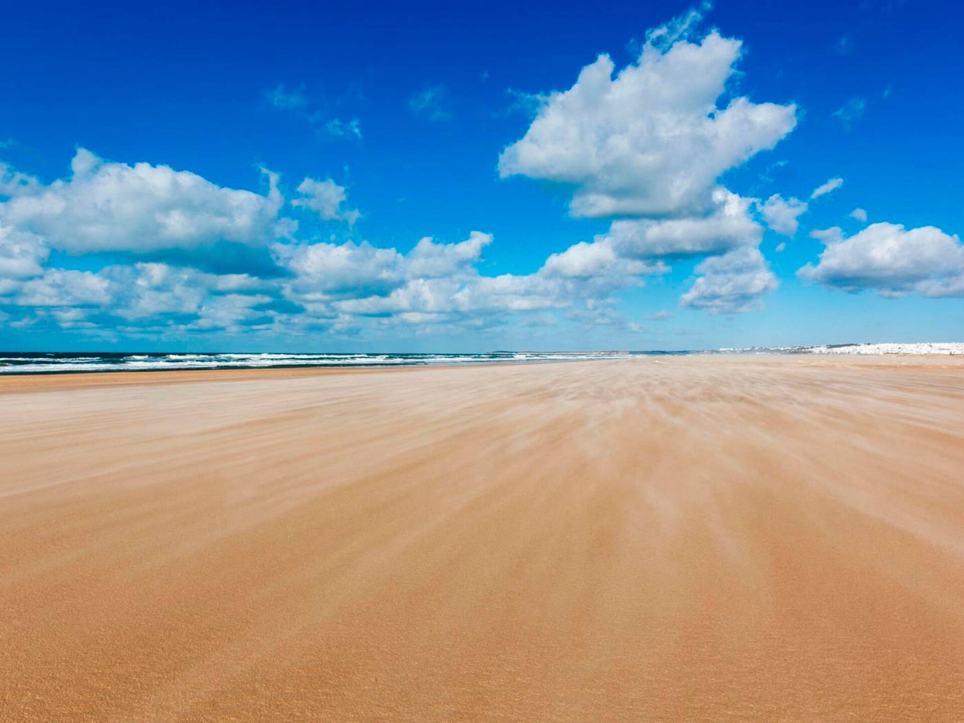 4978-+34636021638 - foto 11