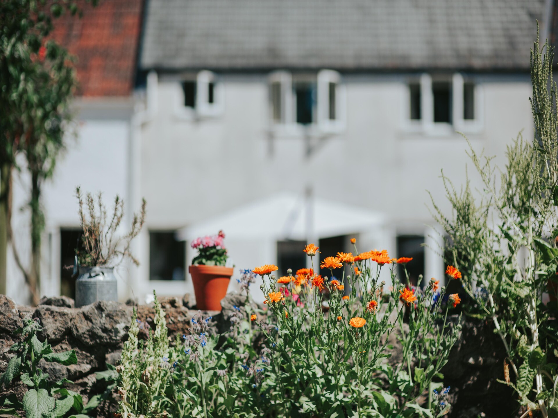 Hotelkamer met karakter in Chard – Ontbijt, diner & nabij Jurassic Coast - foto 36