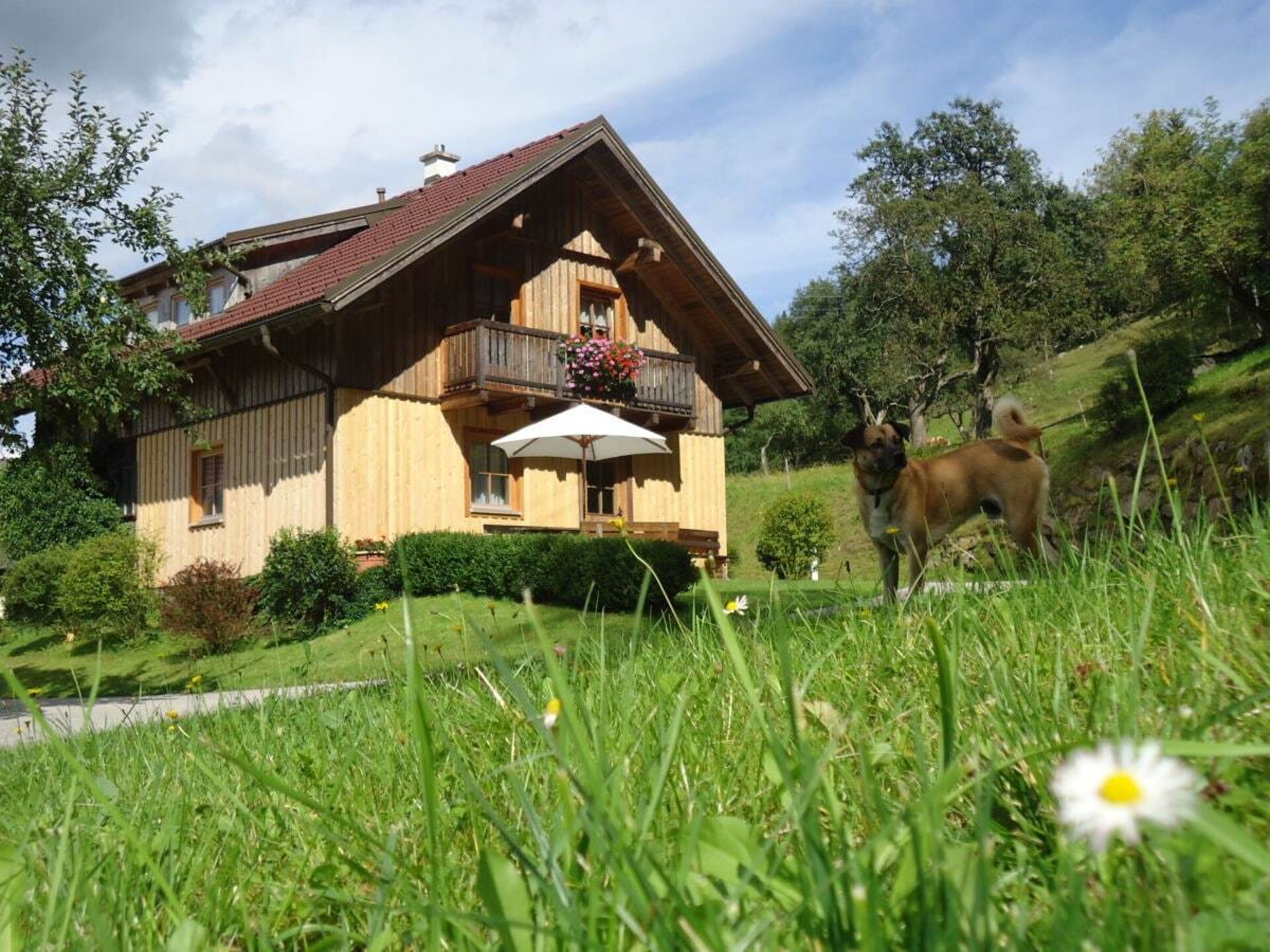 Schmiedbauer Hütt'n: Pure rust in Karinthisch Waldenstein voor 7 personen - foto 1