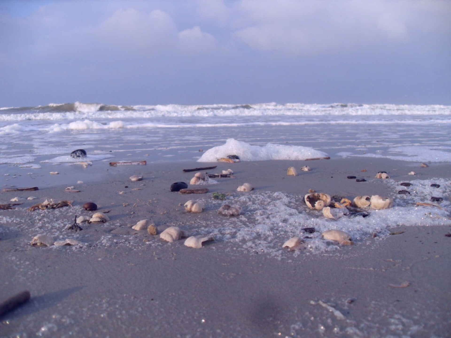 Knus vakantiehuis op Ameland met zuidterras en weids uitzicht - foto 11