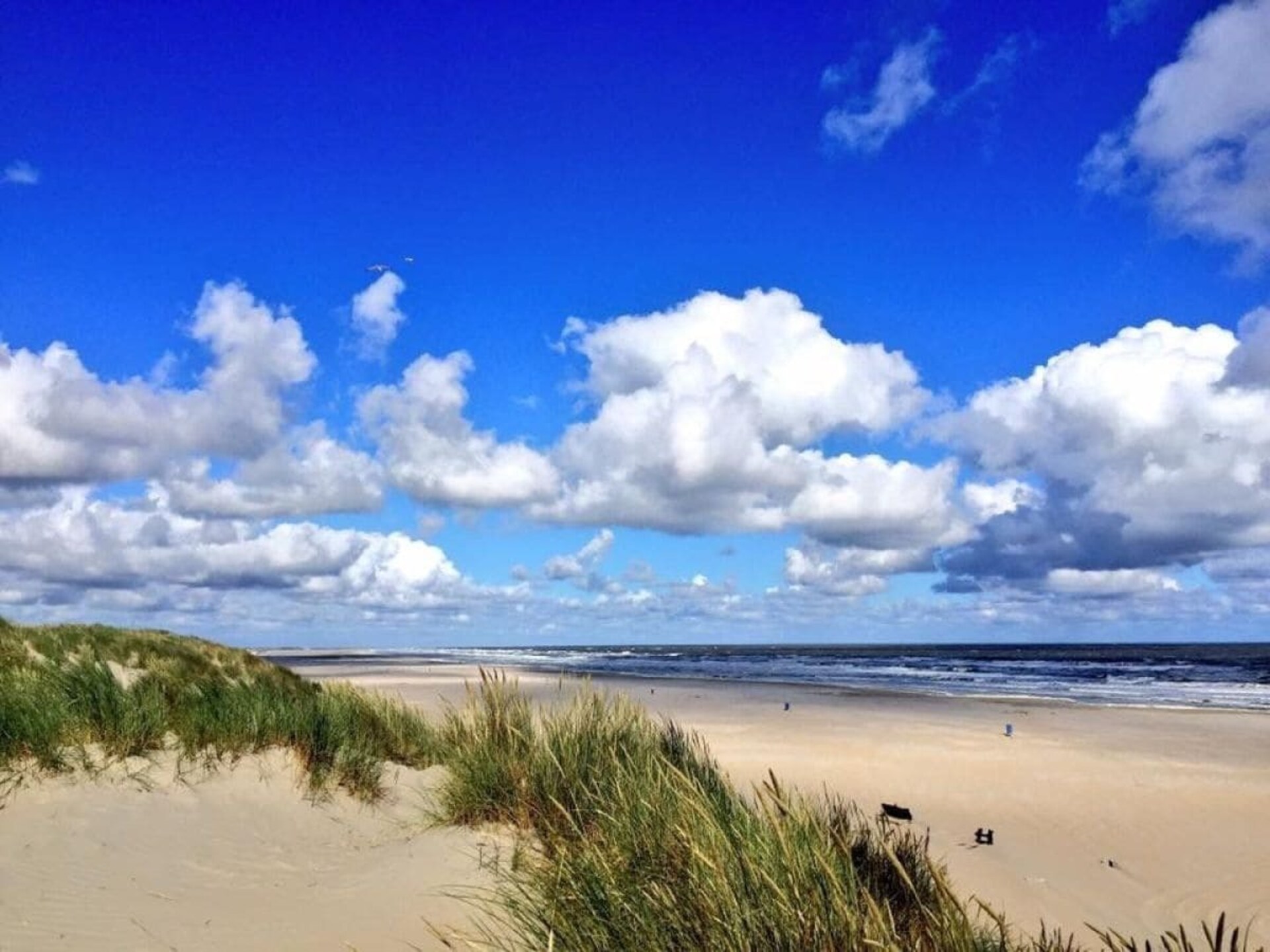 Knus vakantiehuis op Ameland met zuidterras en weids uitzicht - foto 18