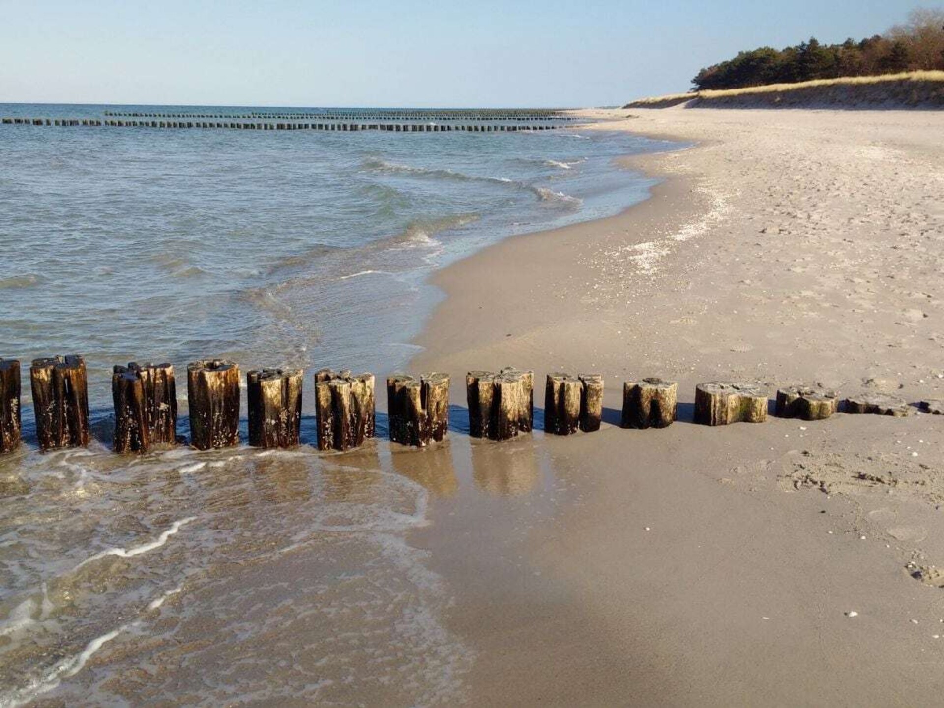 Romantisch appartement met privé-wellness in rietgedekt huis te Zingst - foto 35