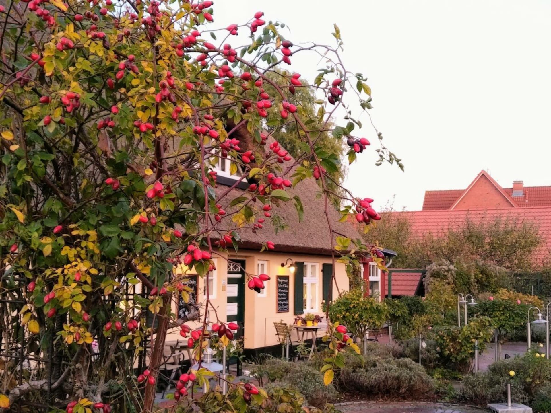 Romantisch appartement met privé-wellness in rietgedekt huis te Zingst - foto 39