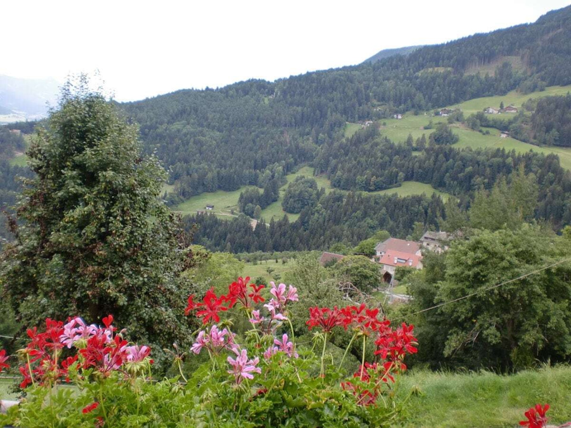 Knus appartement in Villanders met panoramisch uitzicht op de Dolomieten - foto 5