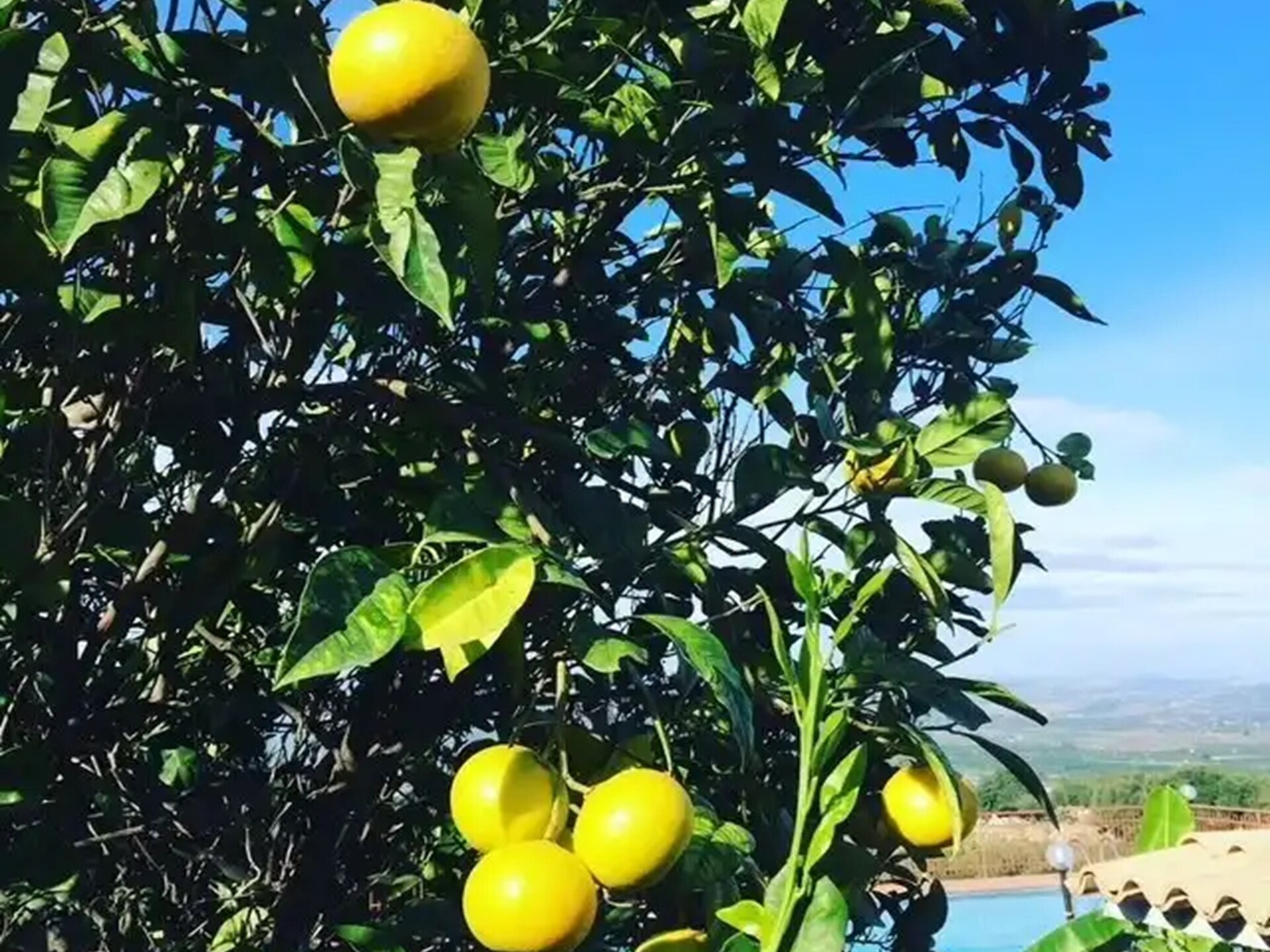 Ruim vakantiehuis met privézwembad op Siciliaans platteland bij Carlentini - foto 29