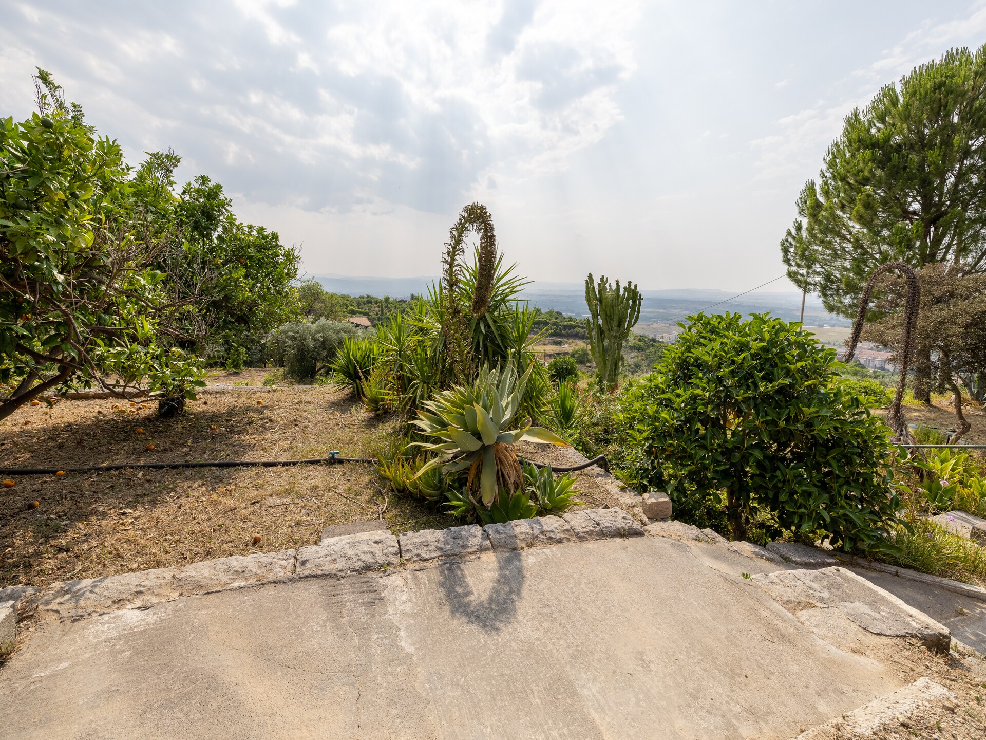 Ruim vakantiehuis met privézwembad op Siciliaans platteland bij Carlentini - foto 21