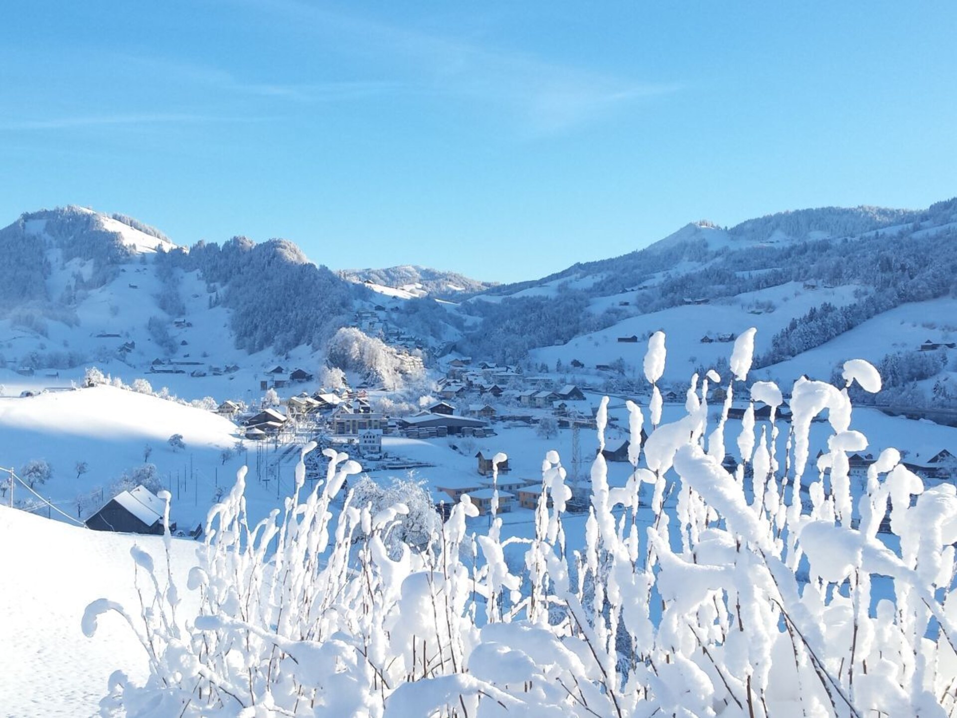 Knus appartement in Sattel met uitzicht op de bergen, vlakbij skilift - foto 13