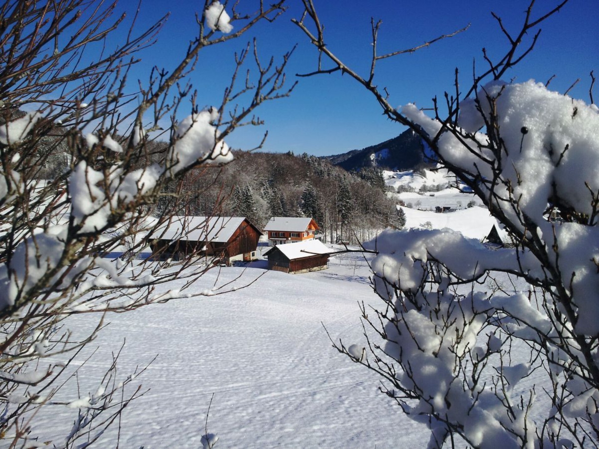 Knus appartement in Sattel met uitzicht op de bergen, vlakbij skilift - foto 14