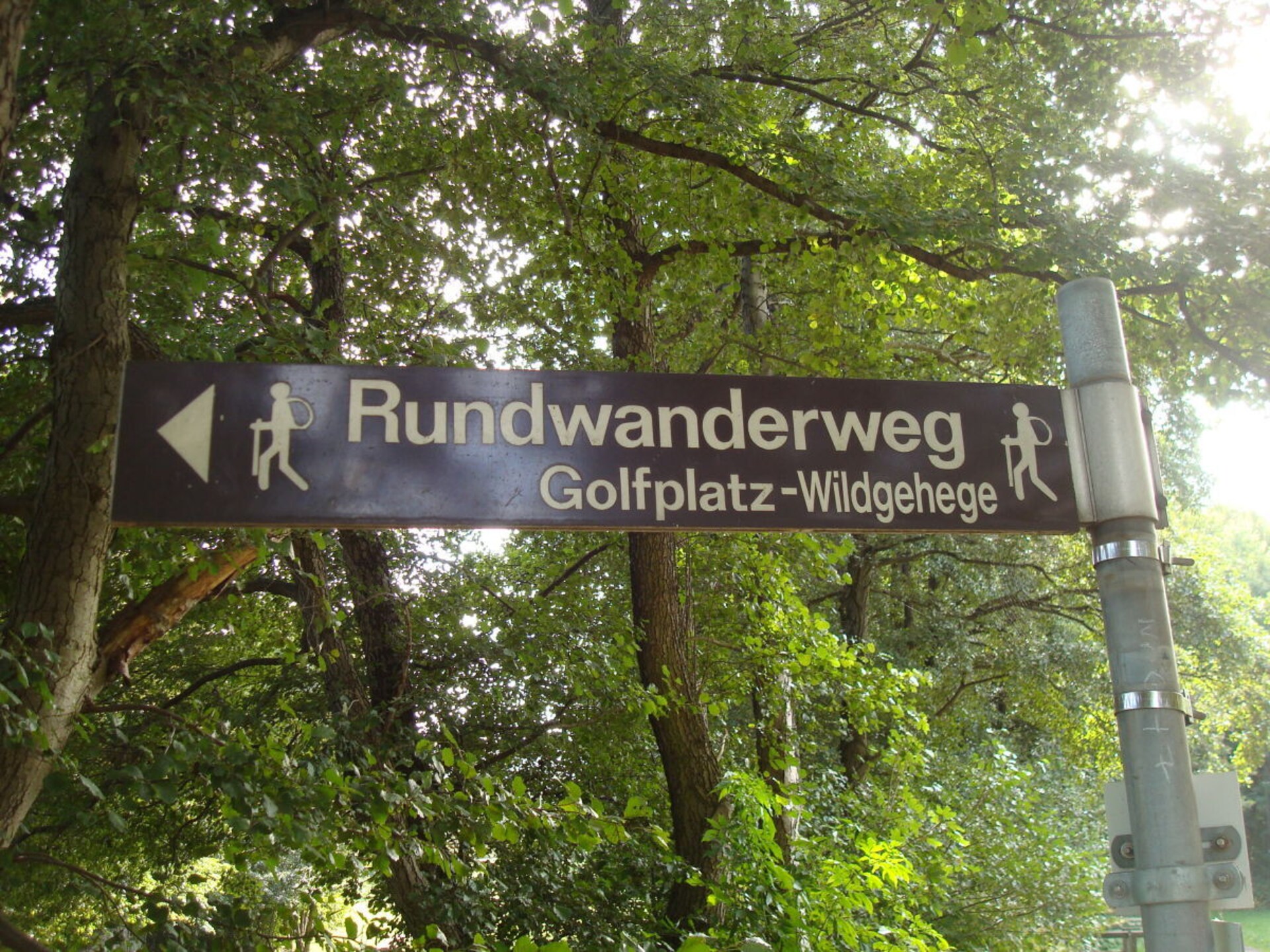 Comfortabel vakantiehuis voor 6 aan de bosrand in Bad Harzburg - foto 13