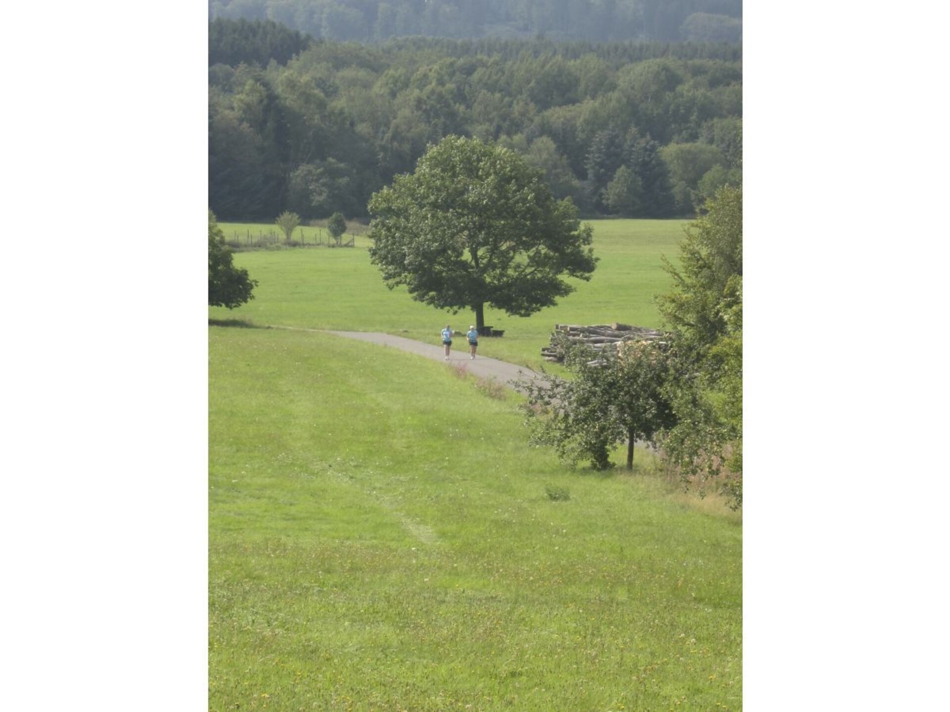 Vrijstaand vakantiehuis aan Nationaal Park Hunsrück-Hochwald met kachel & tuin - foto 5