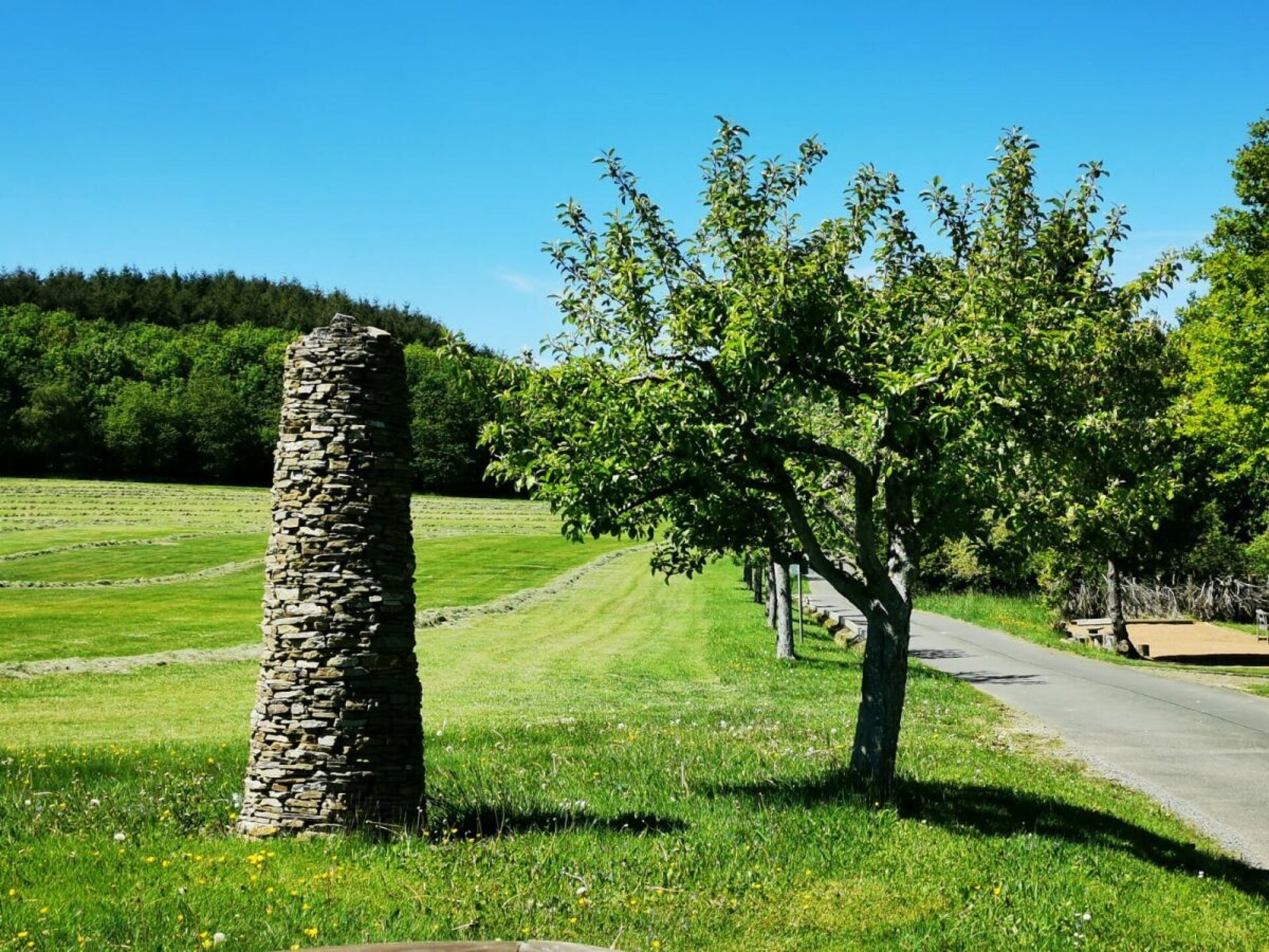 Vrijstaand vakantiehuis aan Nationaal Park Hunsrück-Hochwald met kachel & tuin - foto 8