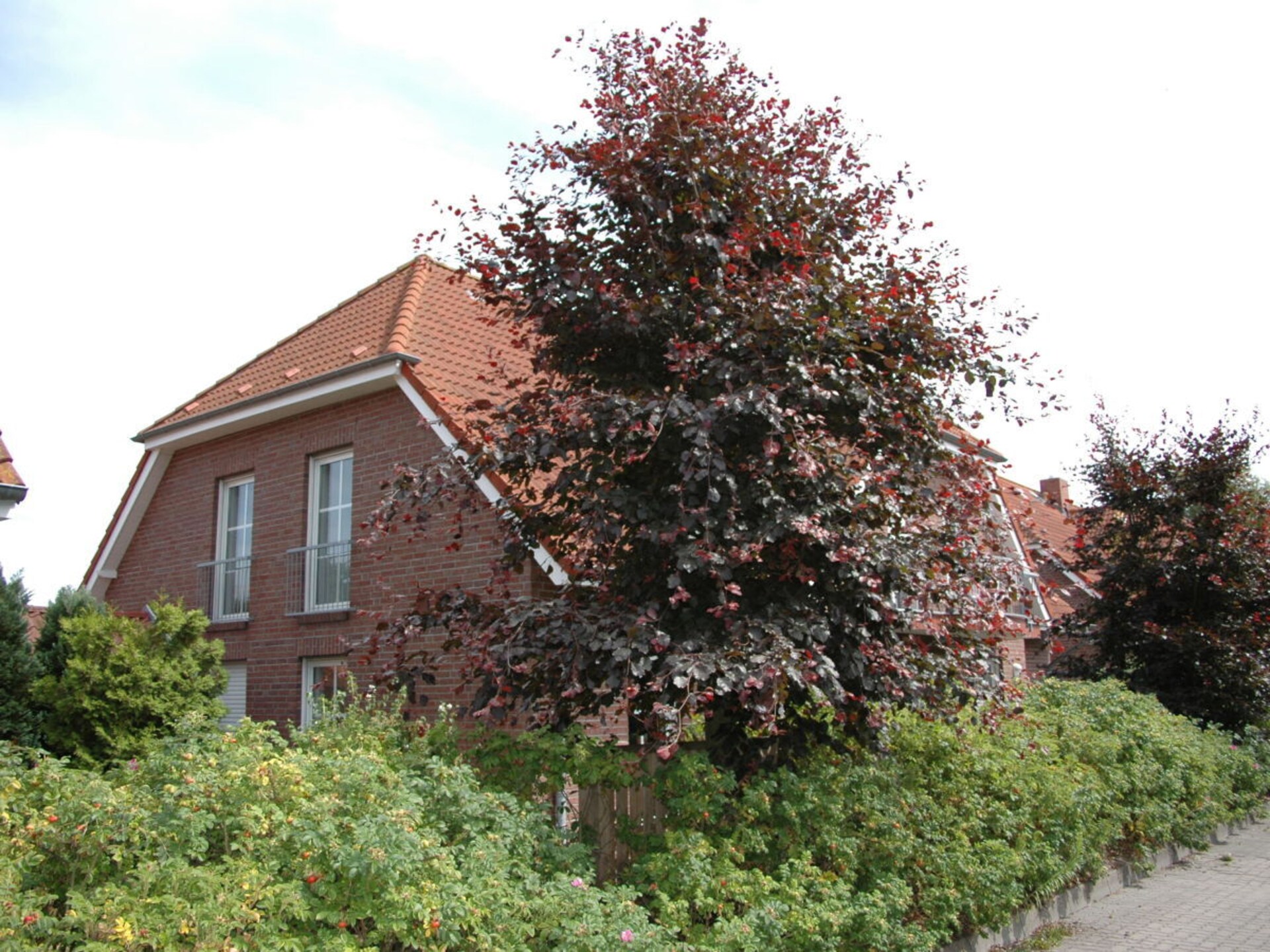 4-persoons vakantiehuis in het centrum van Zingst · 67 m² - foto 2