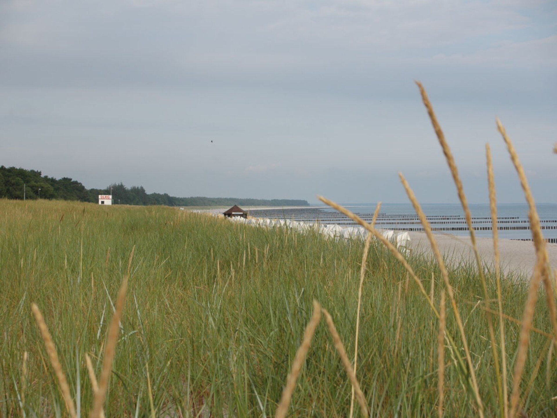 4-persoons vakantiehuis in het centrum van Zingst · 67 m² - foto 16
