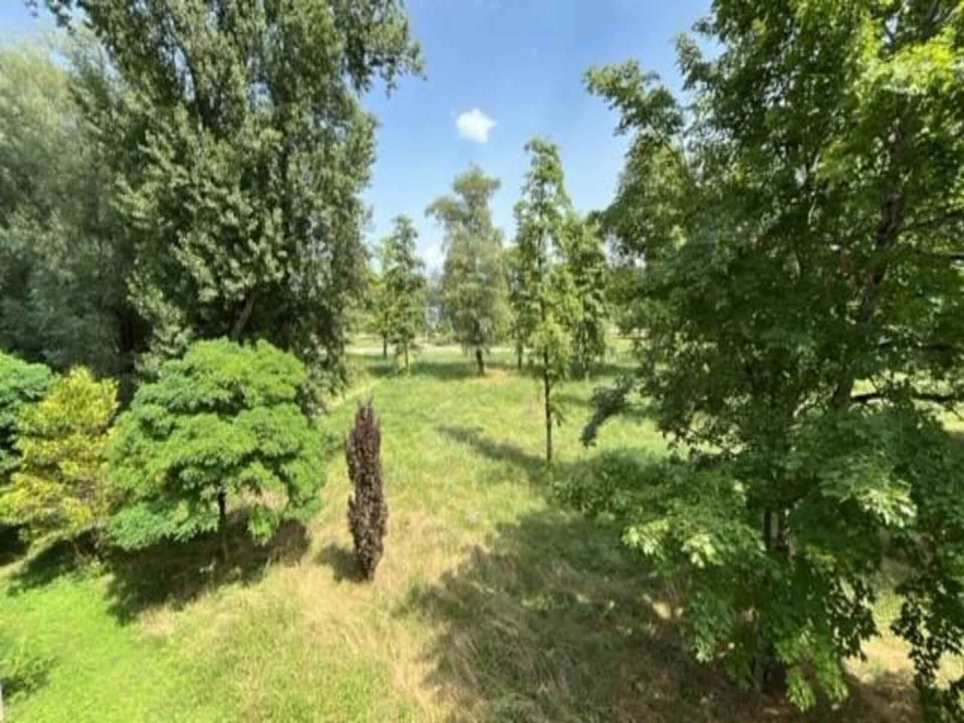 Knusse studio op vakantiepark Adonis Divonne-les-Bains aan de voet van de Jura - foto 6