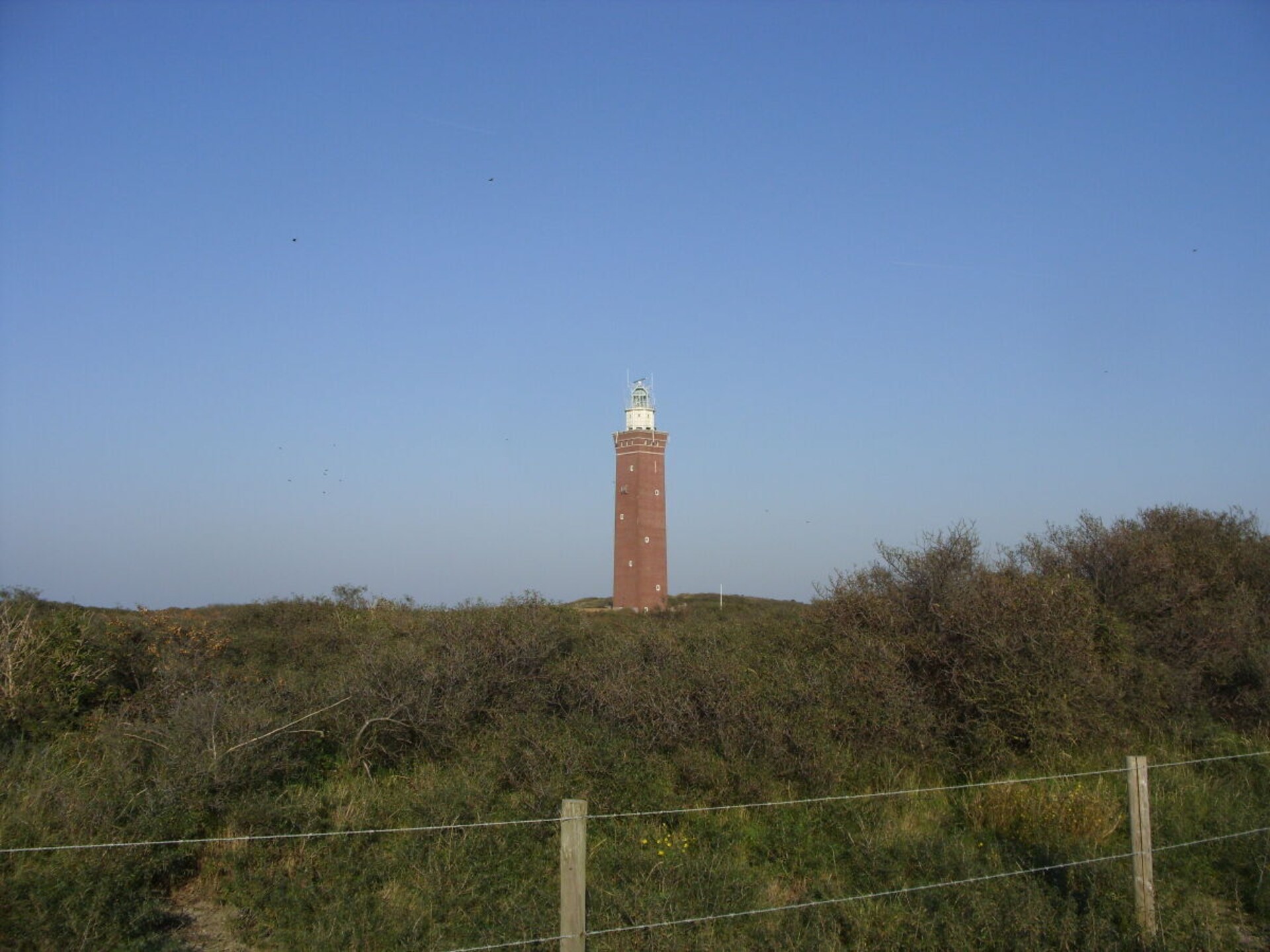 Sfeervol vakantiehuis met tuin, op 2 km van het strand van Ouddorp - foto 18