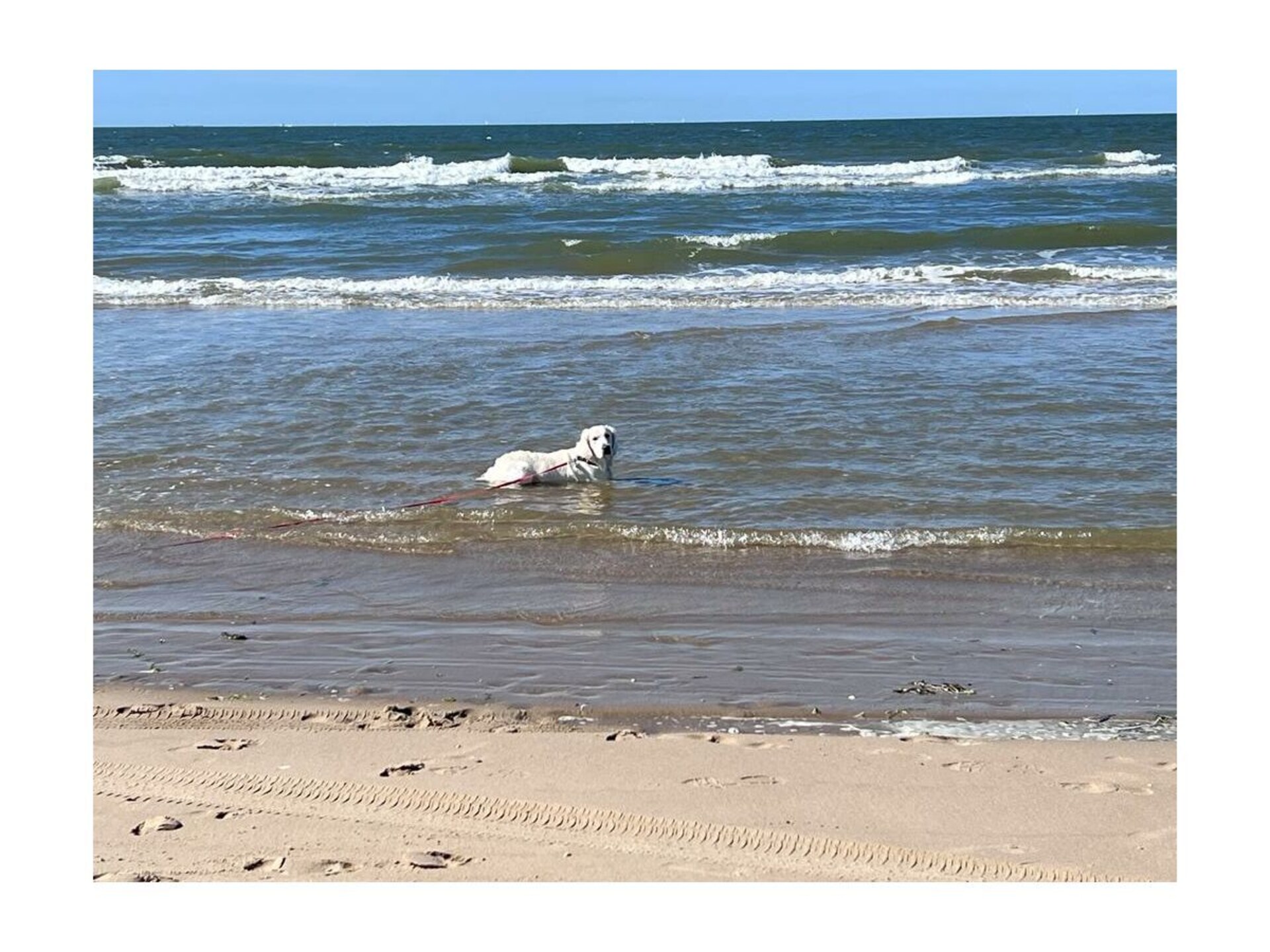 Sfeervol vakantiehuis met tuin, op 2 km van het strand van Ouddorp - foto 20