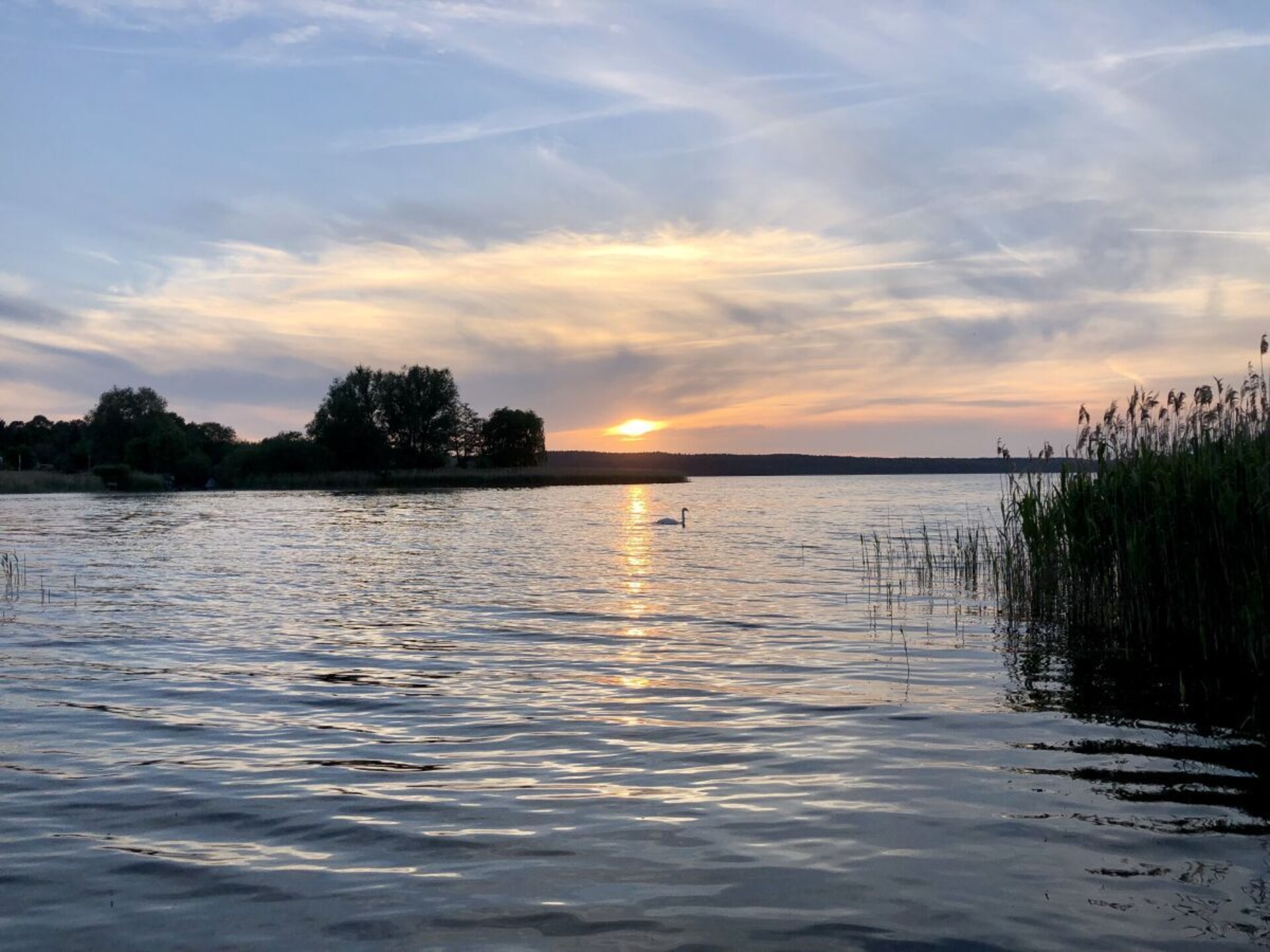 Modern houten vakantiehuis met sauna en zicht op het Great Warinermeer - foto 32
