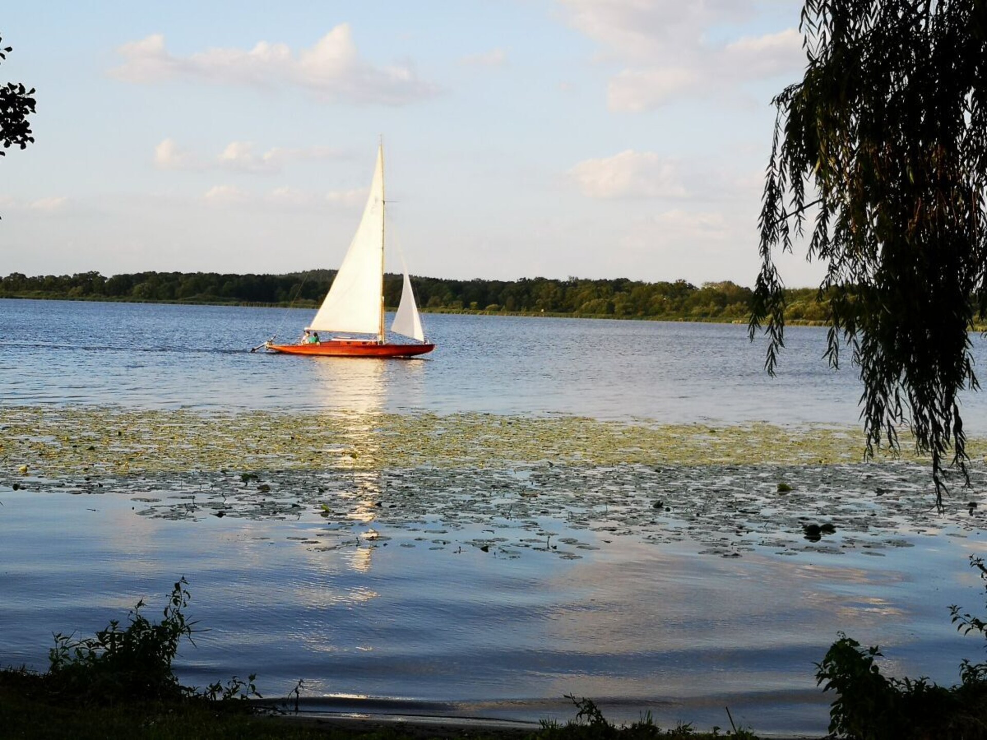 Architectonisch longhouse aan het water bij Werder Havel - foto 24