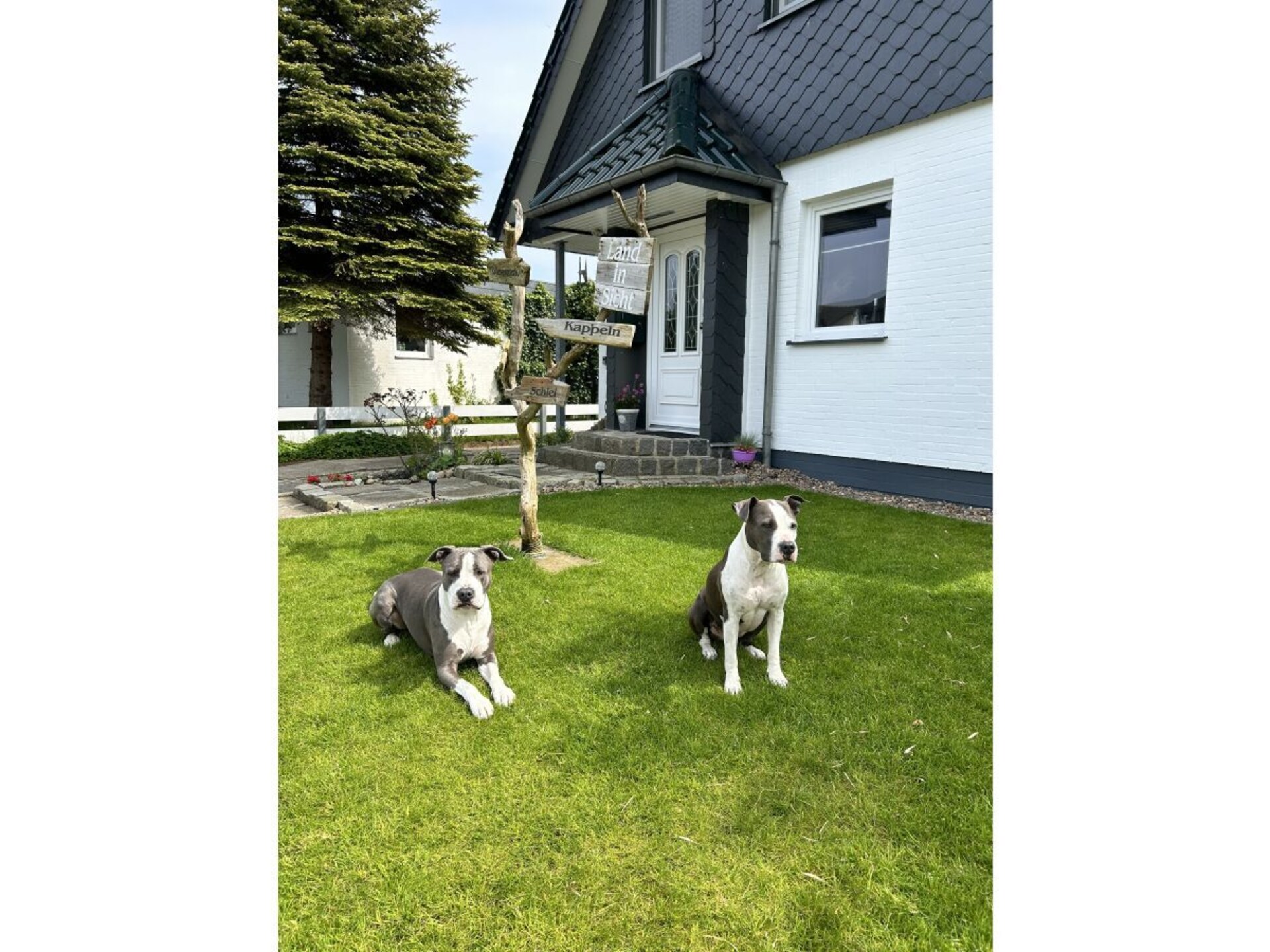 Modern vakantiehuis voor 4 personen in Maasholm-Bad - foto 28