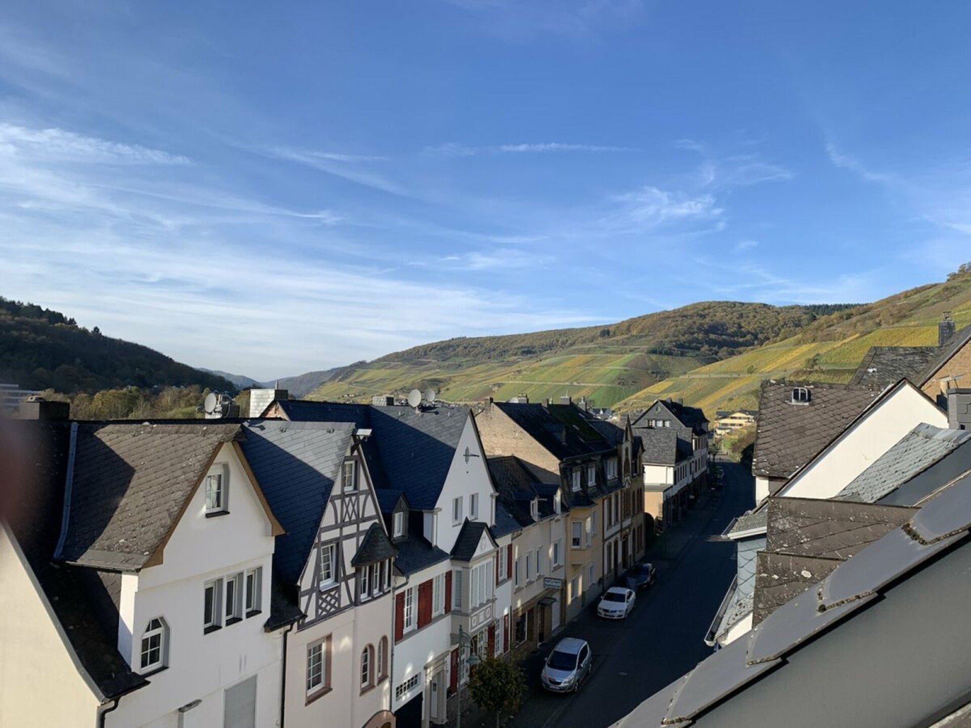 Ecologisch gerenoveerd vakantiehuis met wijngaardterras in Zell aan de Moezel - foto 5