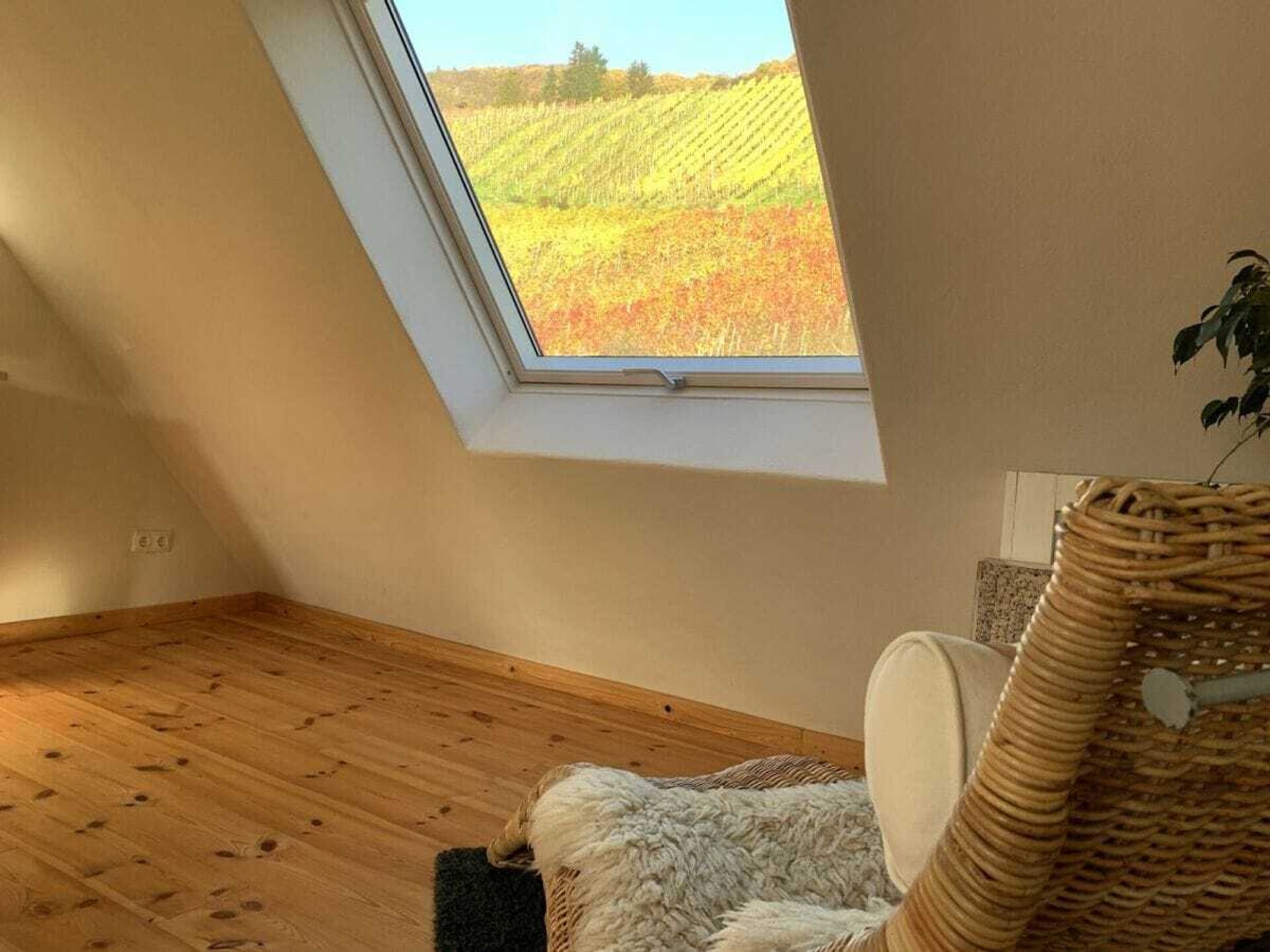 Ecologisch gerenoveerd vakantiehuis met wijngaardterras in Zell aan de Moezel - foto 22