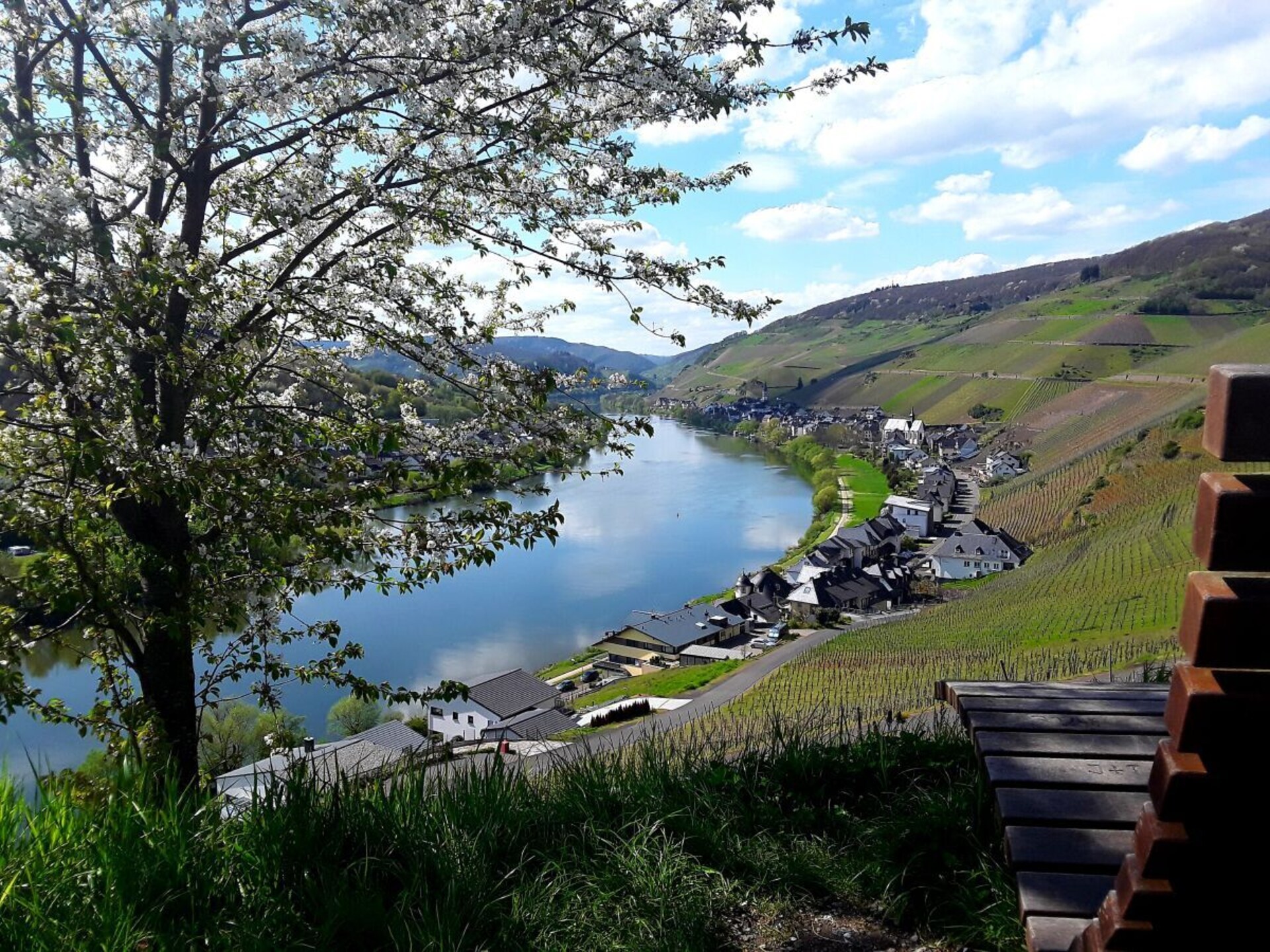 Ecologisch gerenoveerd vakantiehuis met wijngaardterras in Zell aan de Moezel - foto 32