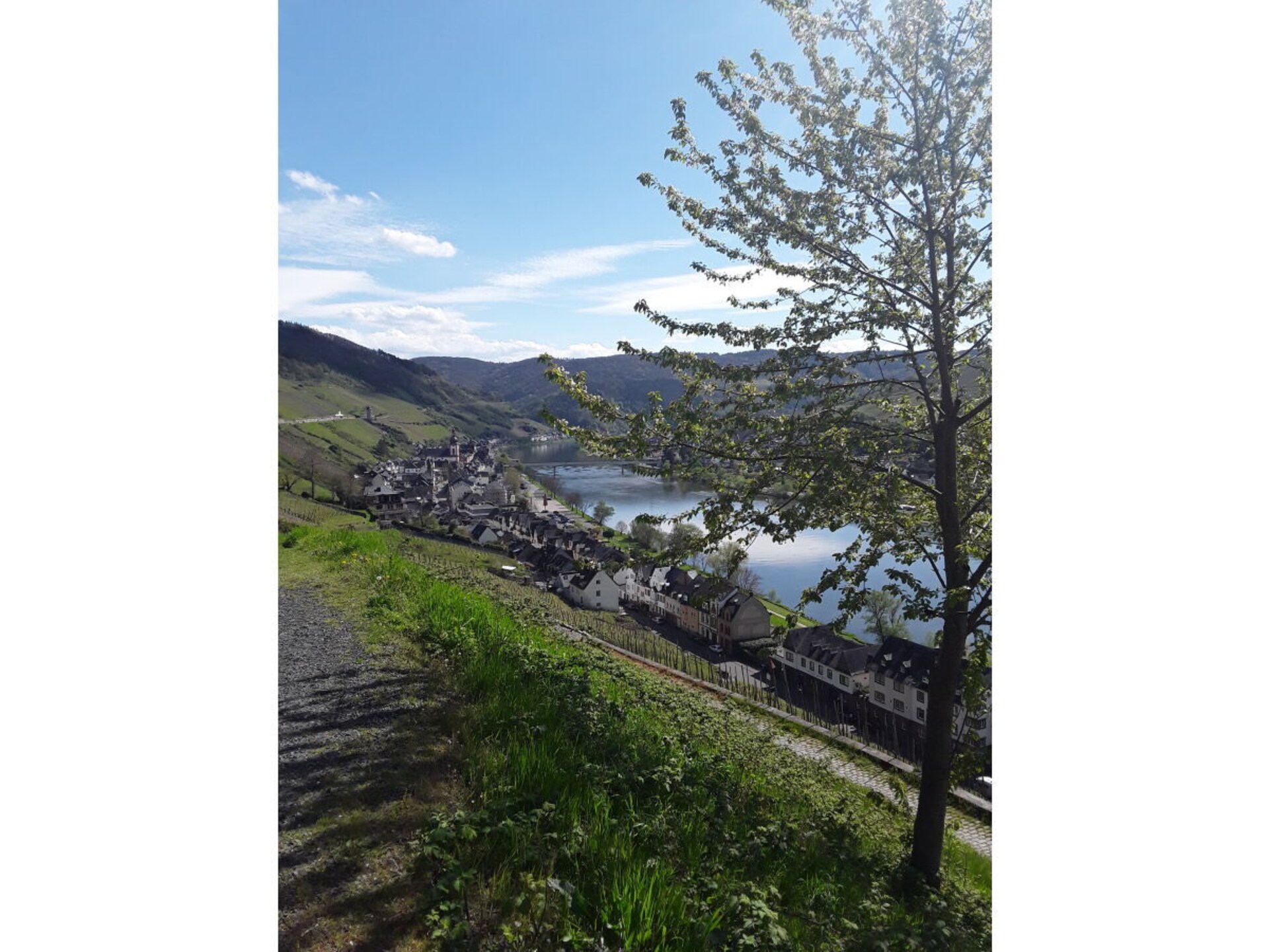 Ecologisch gerenoveerd vakantiehuis met wijngaardterras in Zell aan de Moezel - foto 33