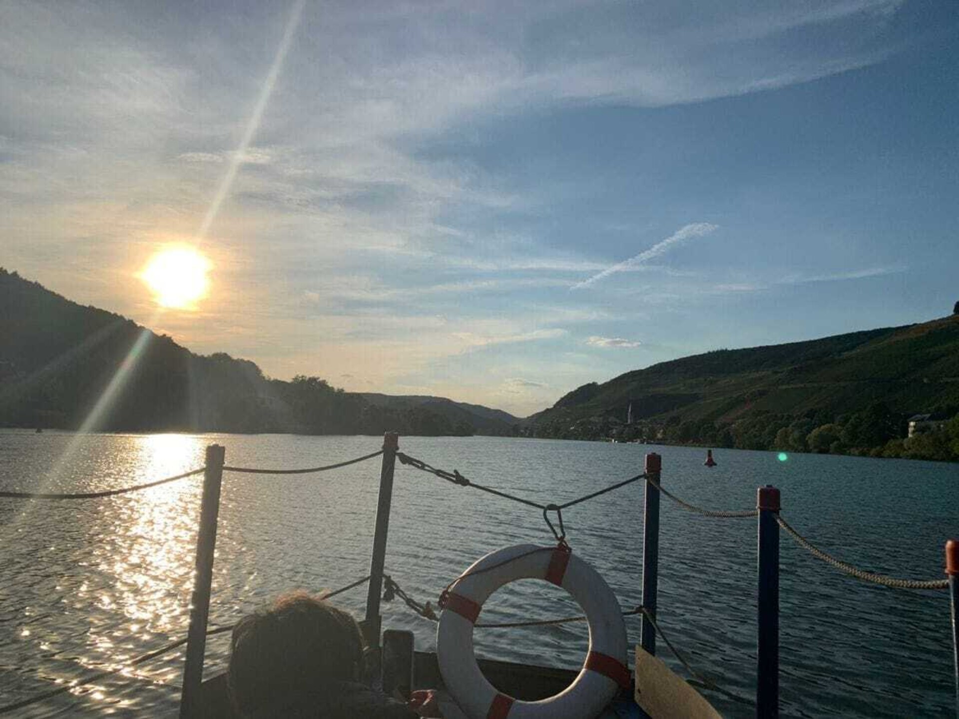 Ecologisch gerenoveerd vakantiehuis met wijngaardterras in Zell aan de Moezel - foto 35