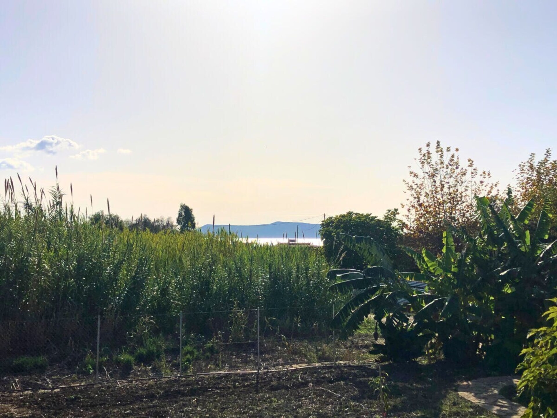 Eco Banana Home: Tiny house op 180m van zee in Finikounda - foto 24