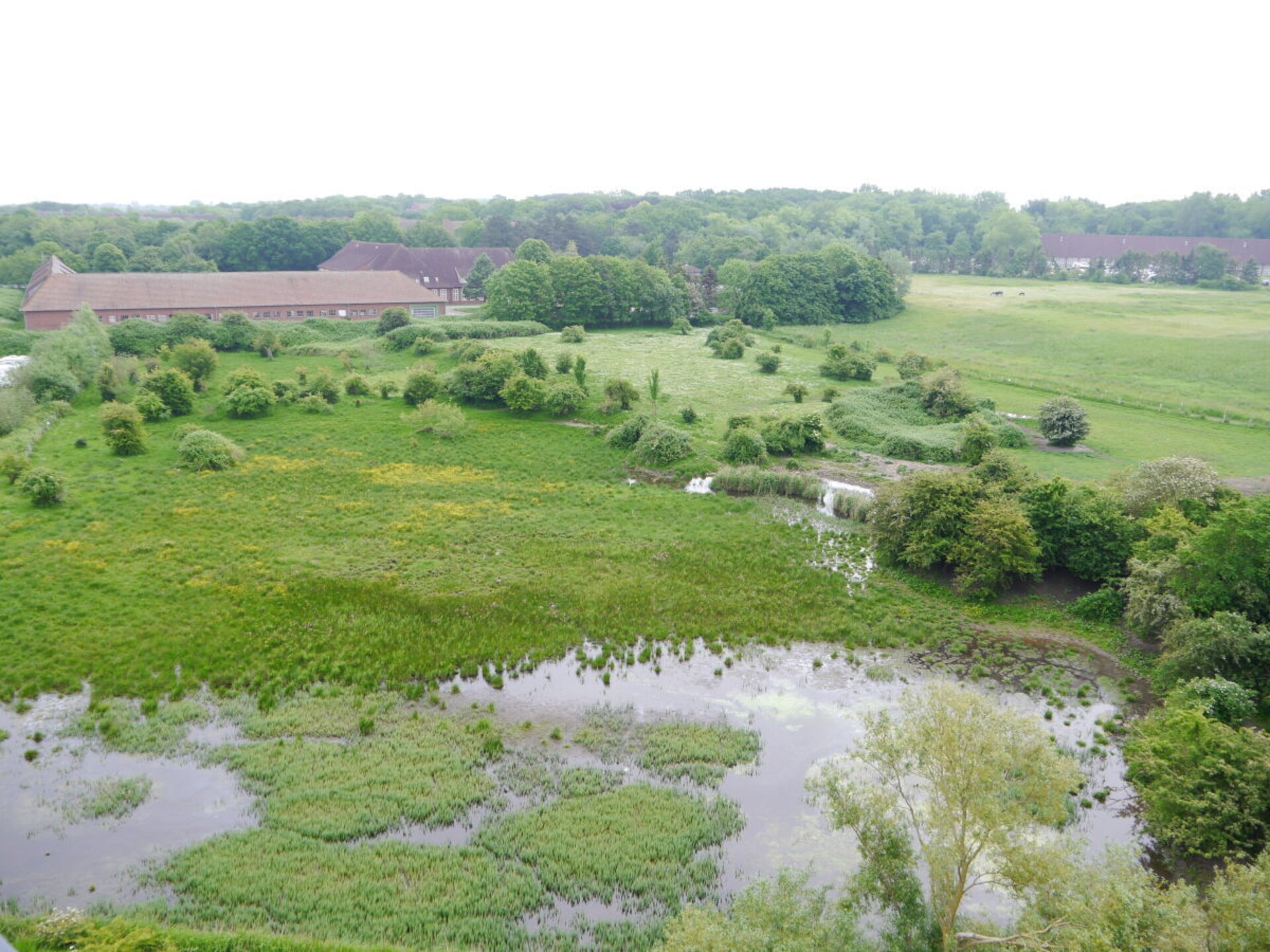 Panorama-appartement Freiheit met weids uitzicht over de Oostzee bij Heiligenhafen - foto 2