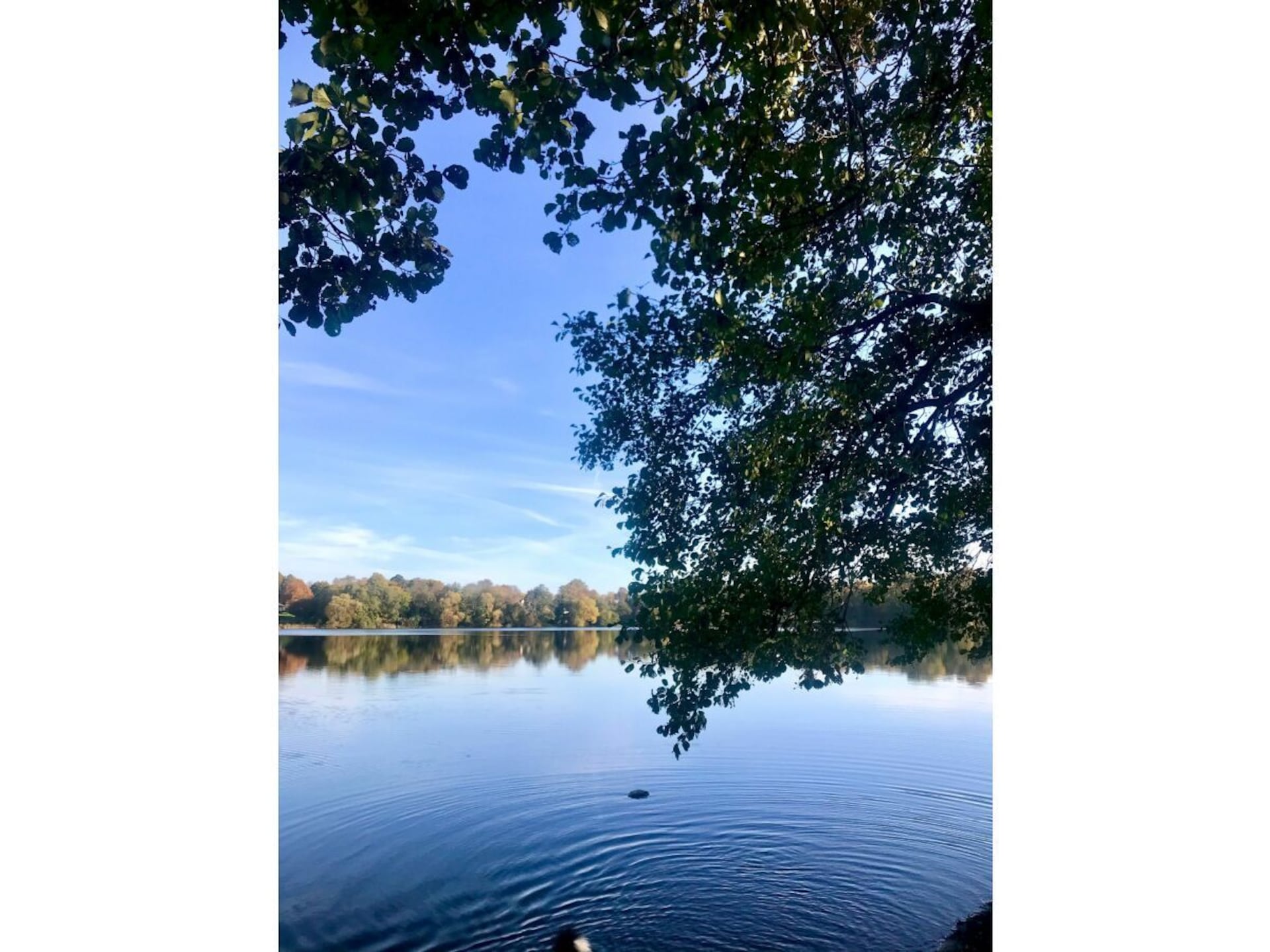 Licht vakantiehuis in Nehms met panoramisch uitzicht en terras - foto 34