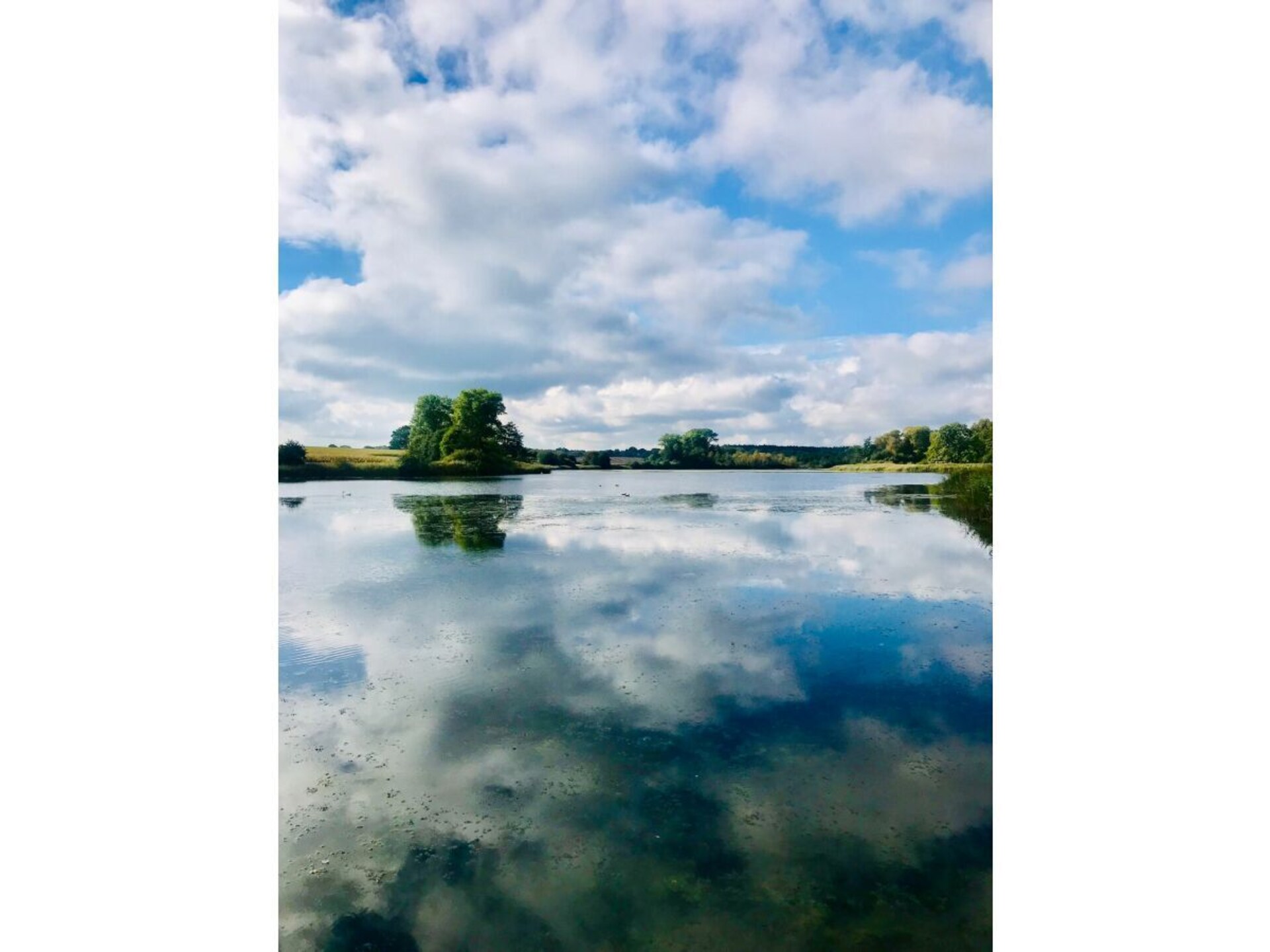 Licht vakantiehuis in Nehms met panoramisch uitzicht en terras - foto 37