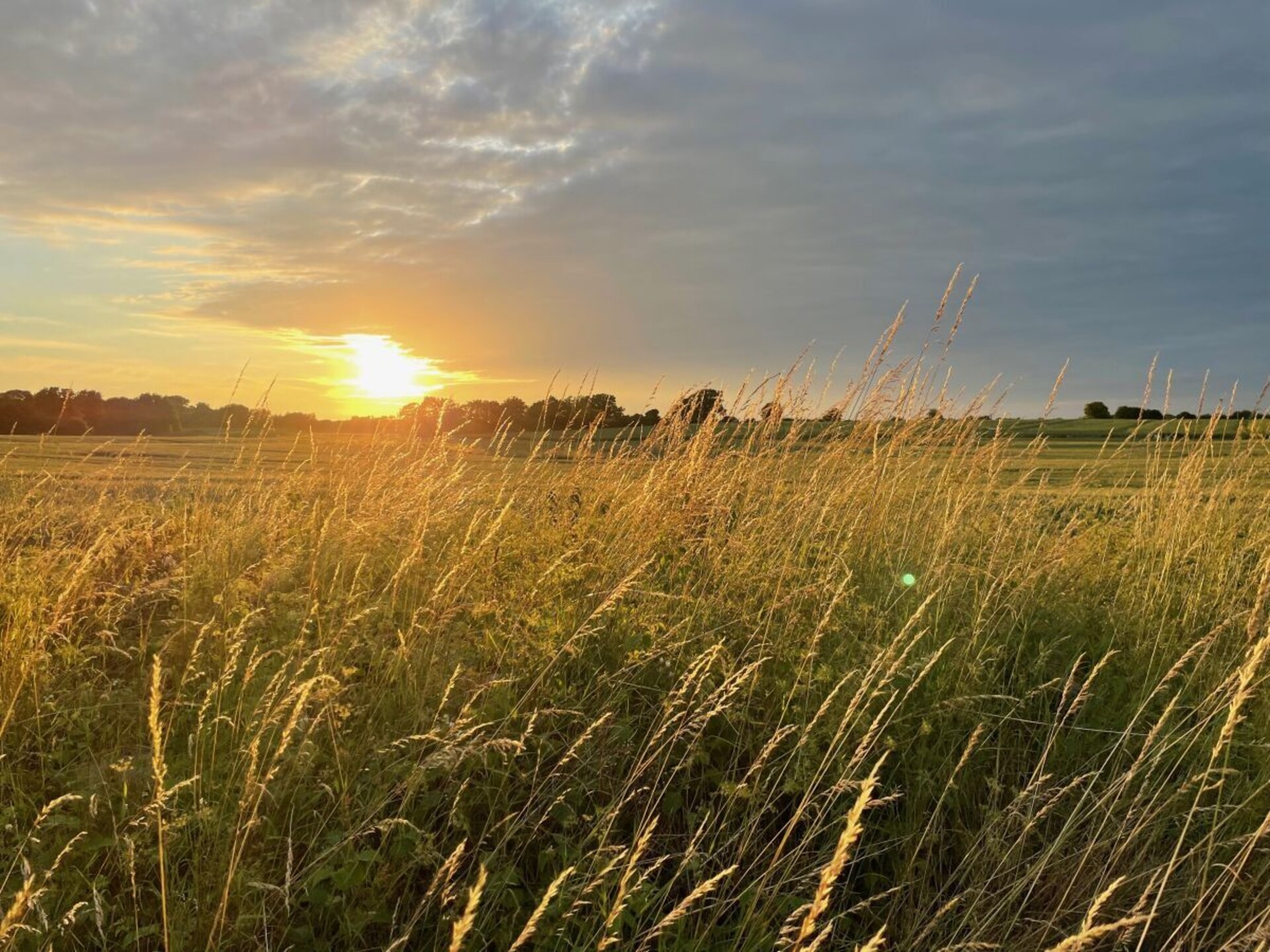 Moderne boomhut in Wangels – panoramisch uitzicht op 5 meter hoogte - foto 5