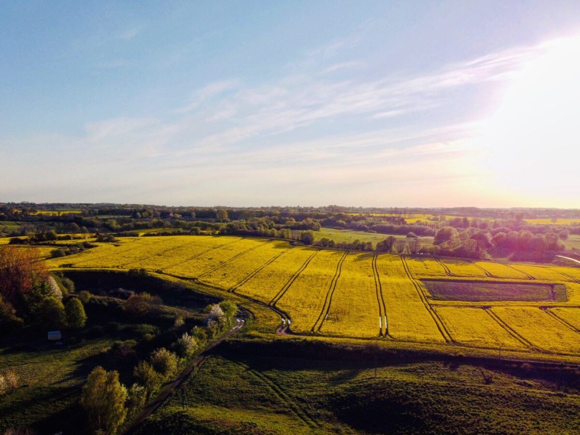 Moderne boomhut in Wangels – panoramisch uitzicht op 5 meter hoogte - foto 6
