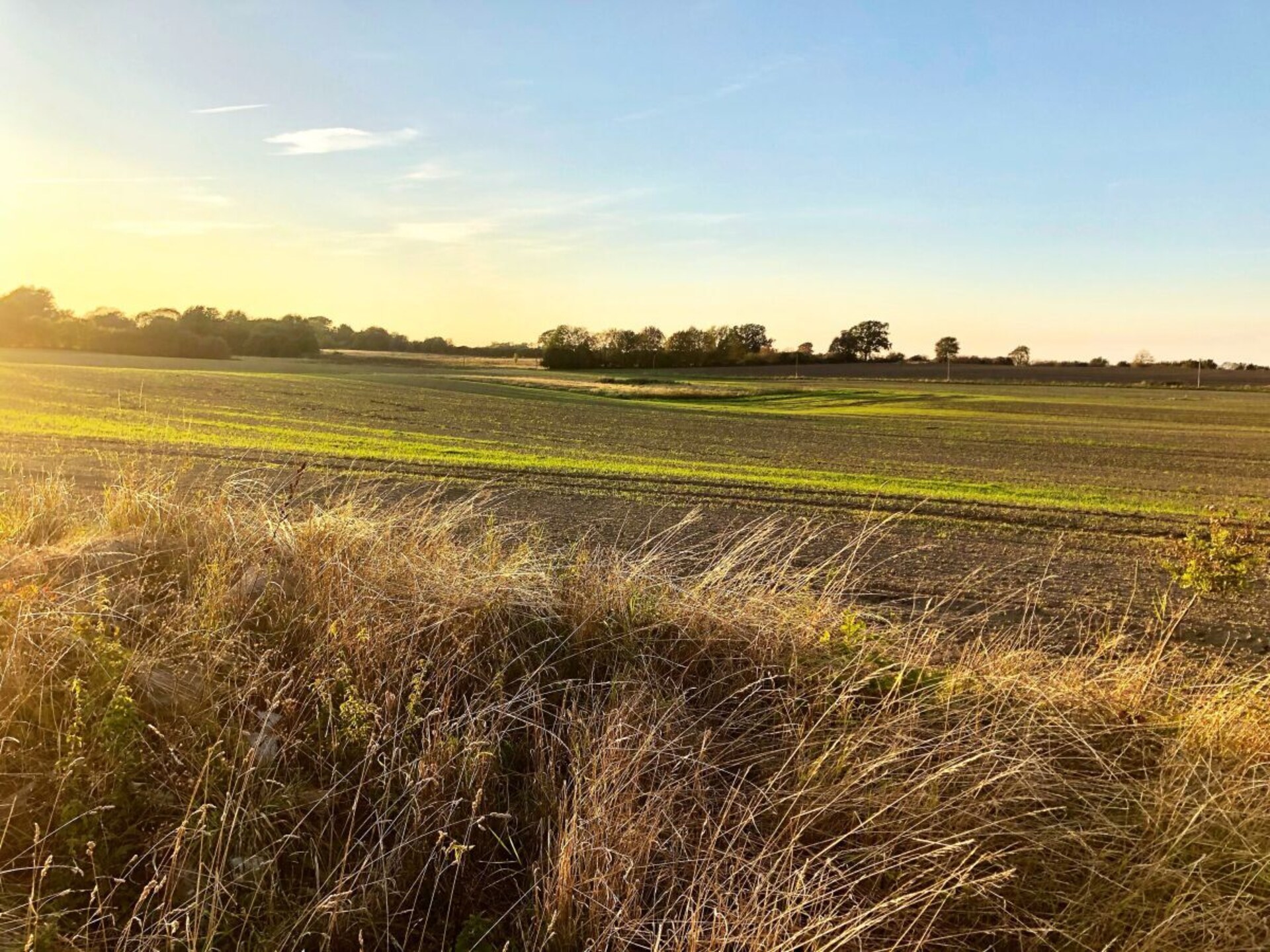 Moderne boomhut in Wangels – panoramisch uitzicht op 5 meter hoogte - foto 7
