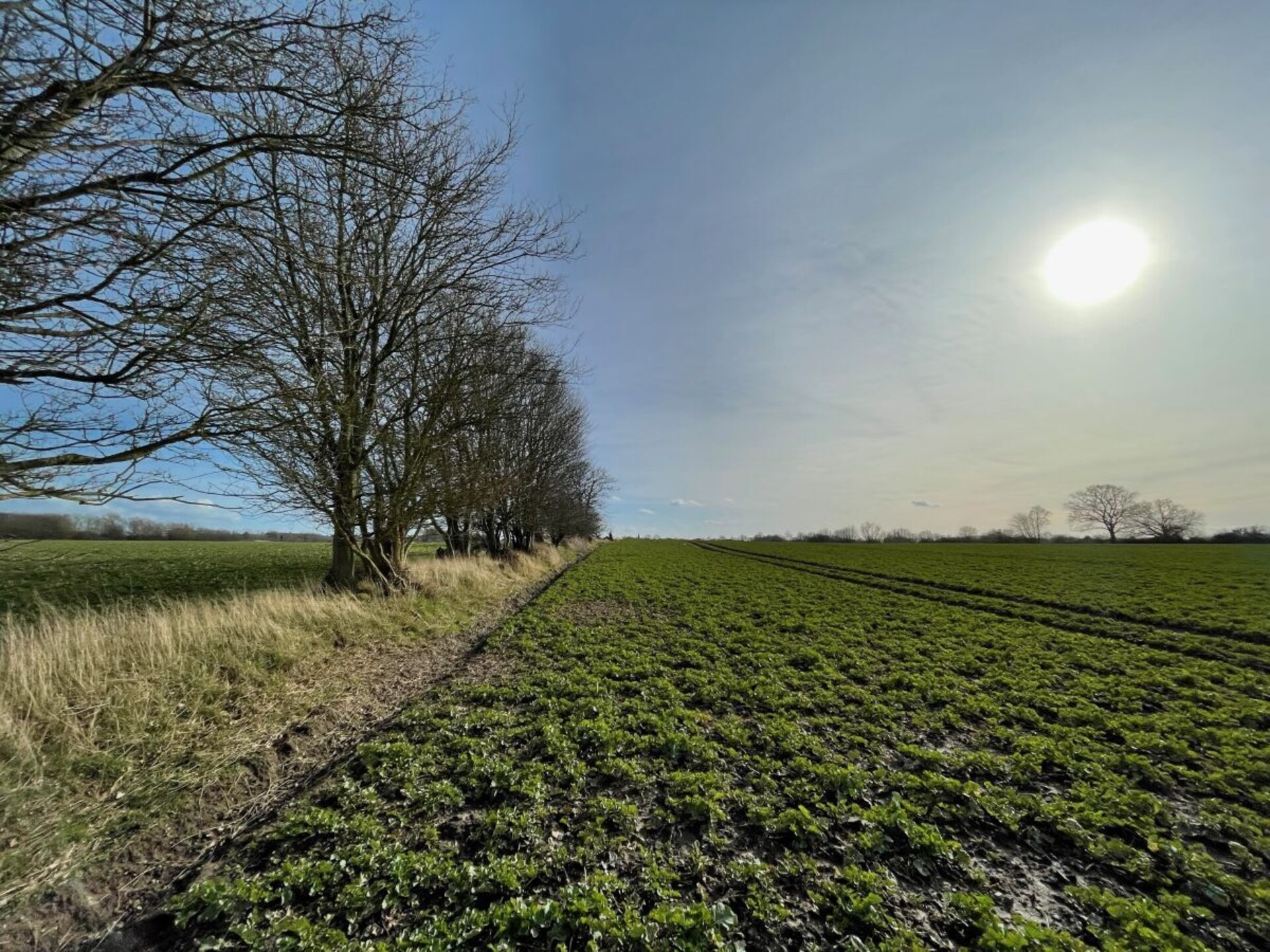 Moderne boomhut in Wangels – panoramisch uitzicht op 5 meter hoogte - foto 8