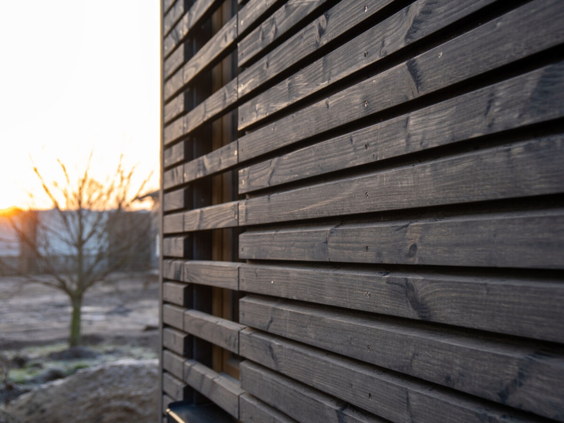 Moderne boomhut in Wangels – panoramisch uitzicht op 5 meter hoogte - foto 12