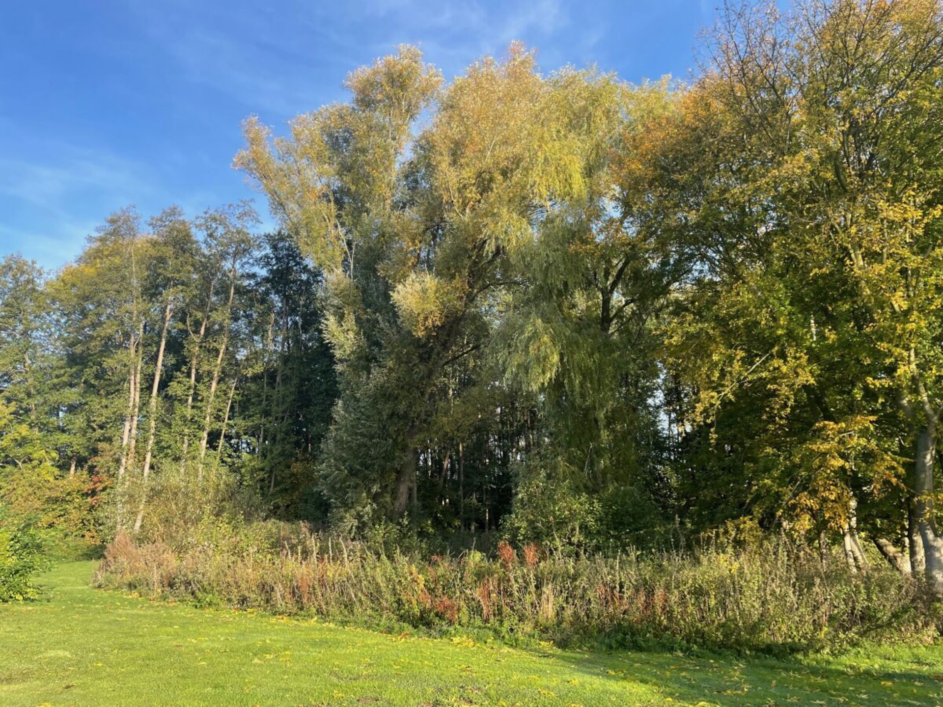Moderne boomhut in Wangels – panoramisch uitzicht op 5 meter hoogte - foto 29