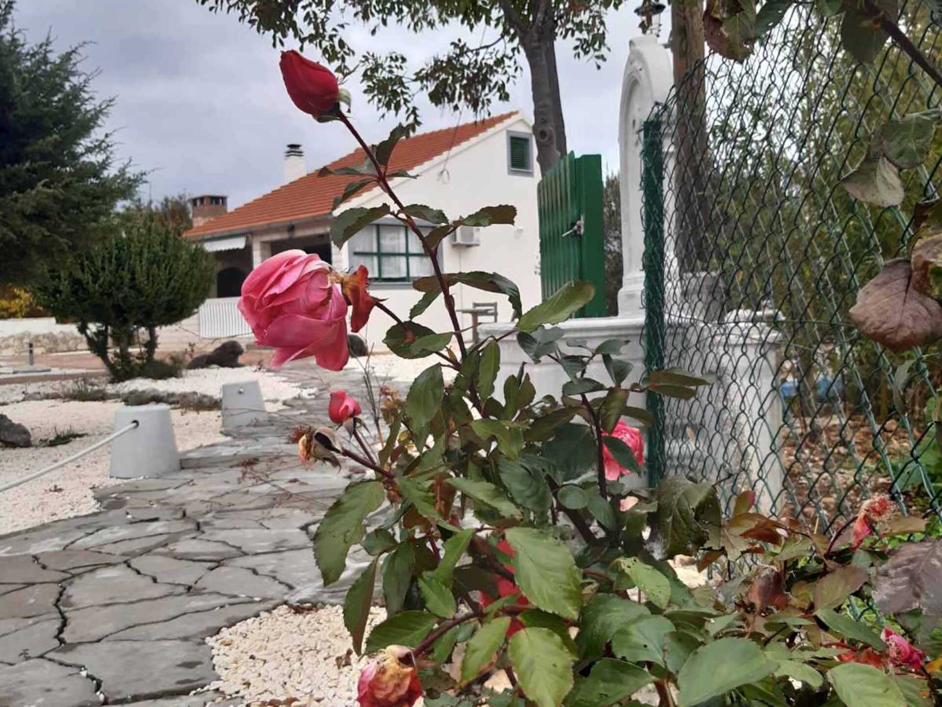 Villa Mystic Woods: rustige natuurvilla in Bristane, Kroatië voor 4 personen - foto 20