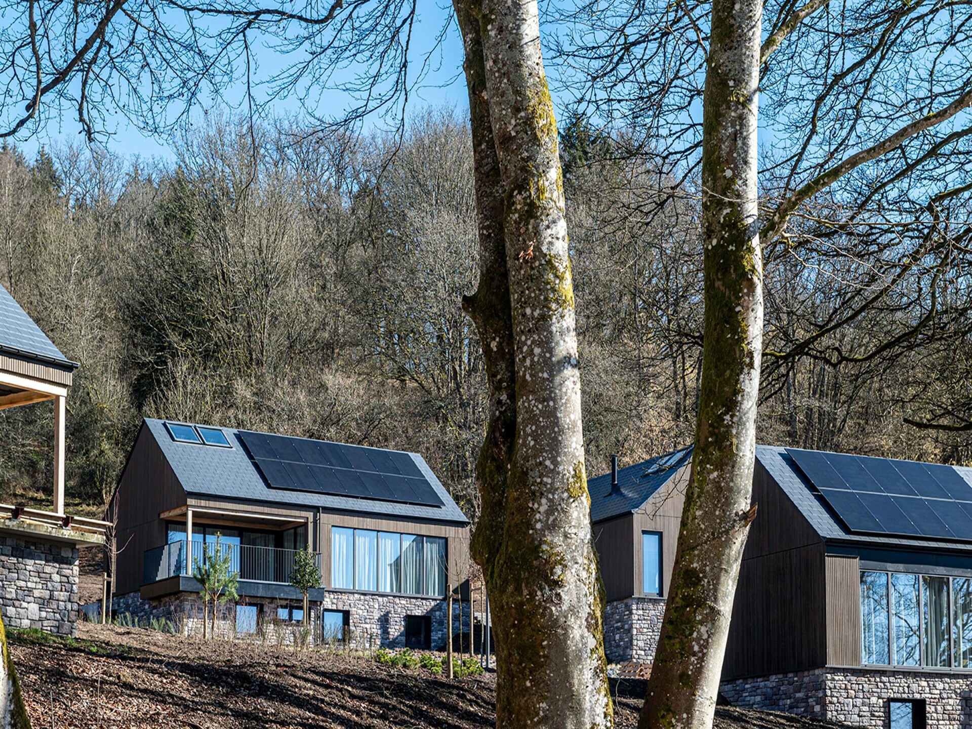Villa voor 4 in de bossen van La Roche-en-Ardenne met terras - foto 10