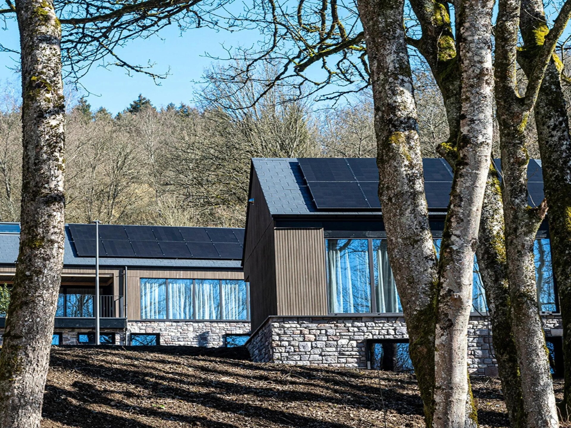 Villa voor 4 in de bossen van La Roche-en-Ardenne met terras - foto 11