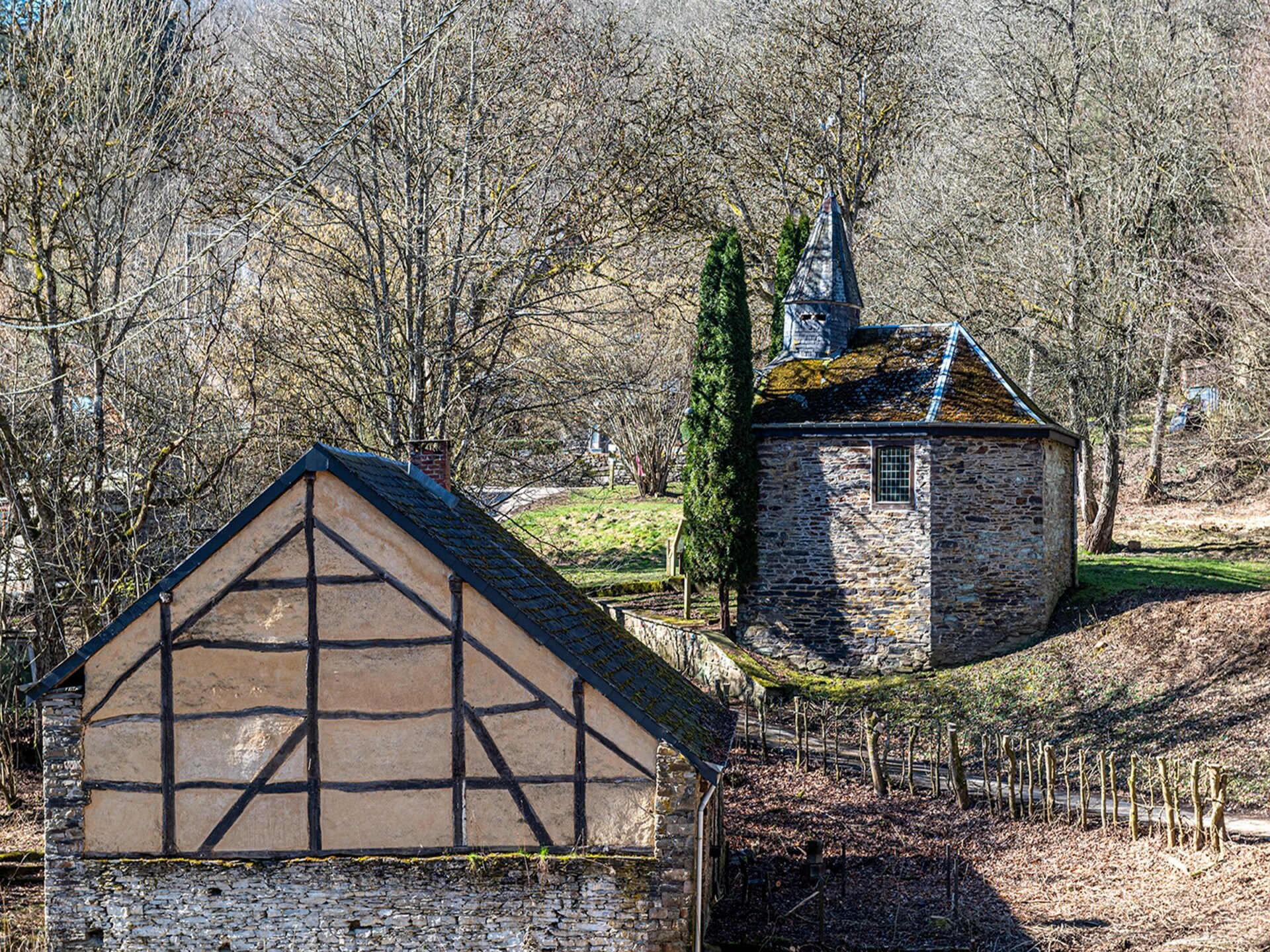 Ruime 4-slaapkamer villa voor 8 personen in de bossen bij La Roche-en-Ardenne - foto 14